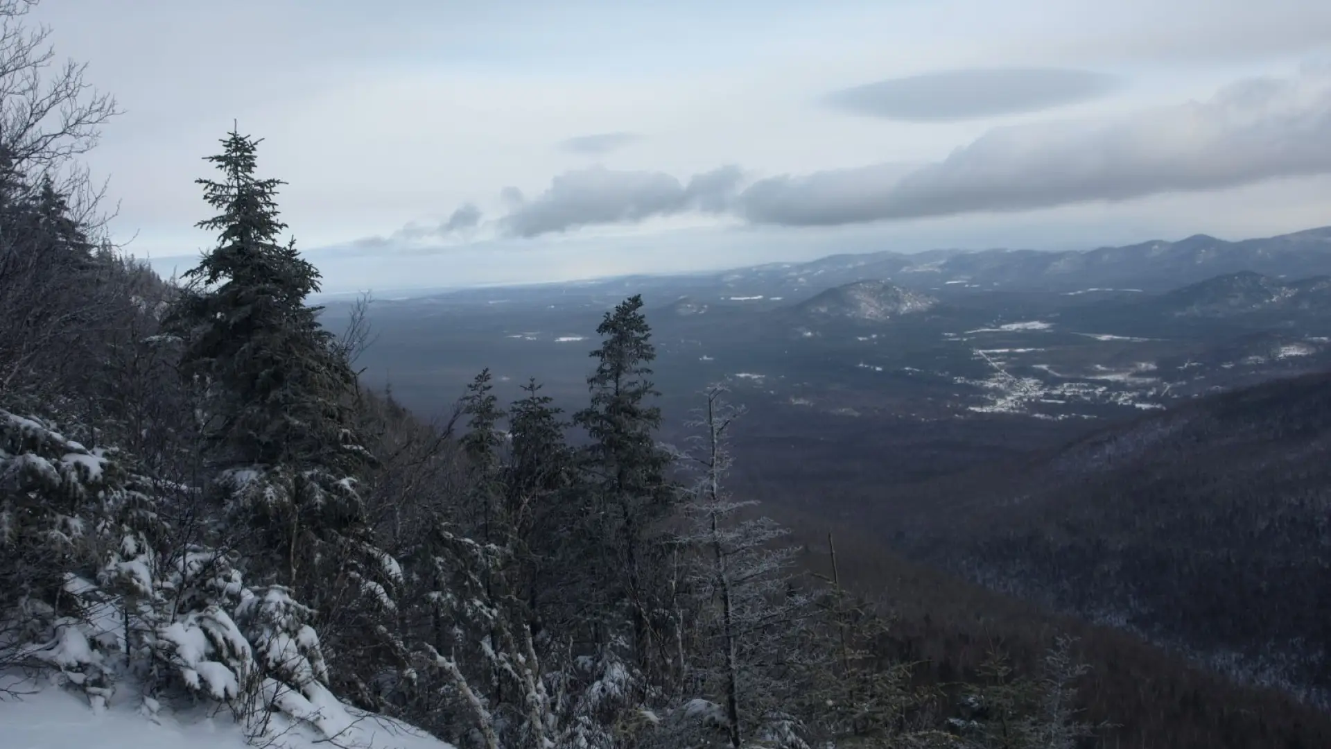 Stellar views on the approach