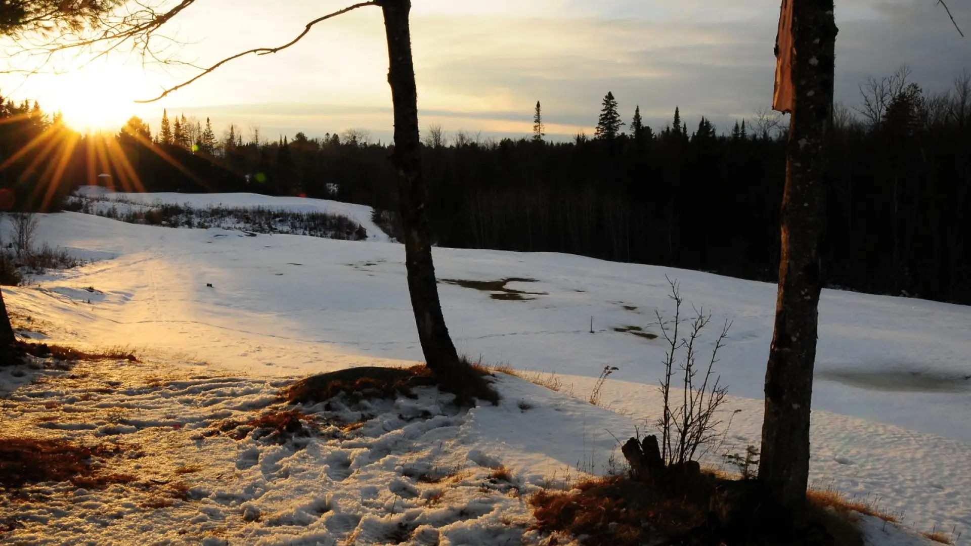 Cross-country skiing on the Golf Course.