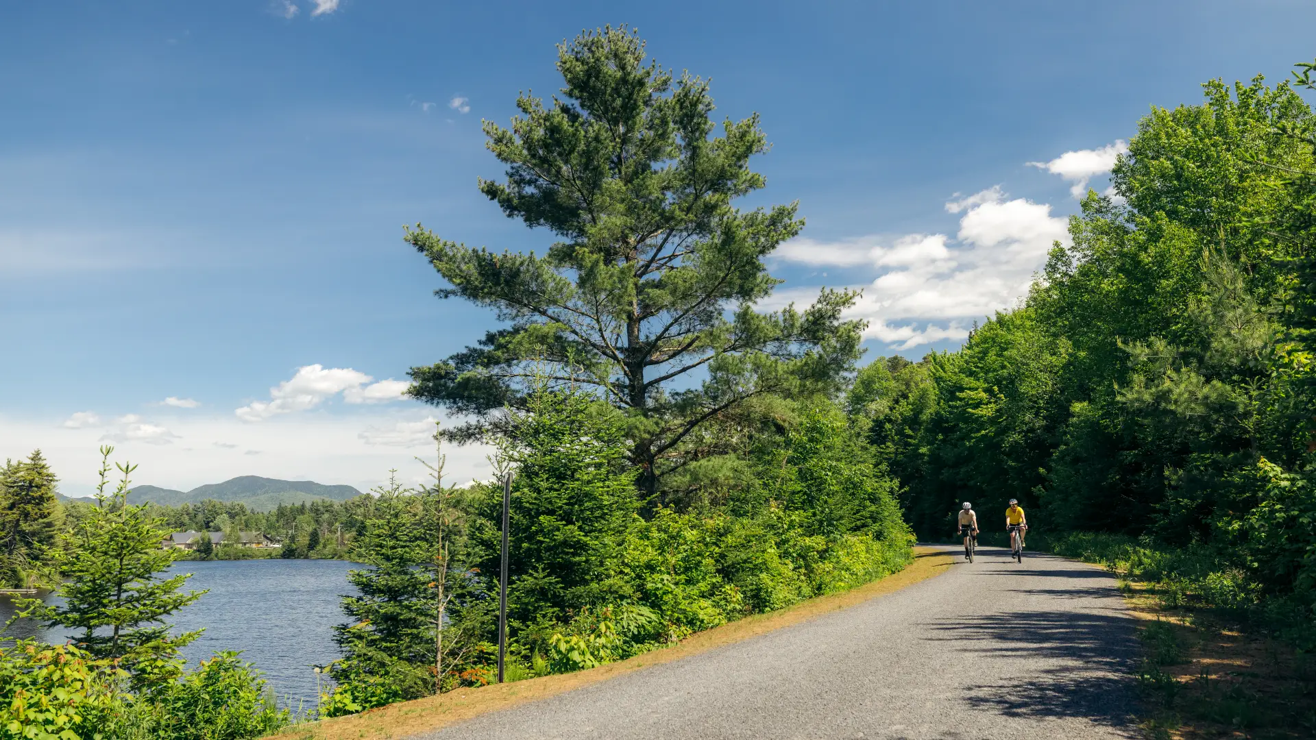 A wide, lakeside trail surrounded by evergreens on a sunny summer day. Two cyclists appear on the path. 