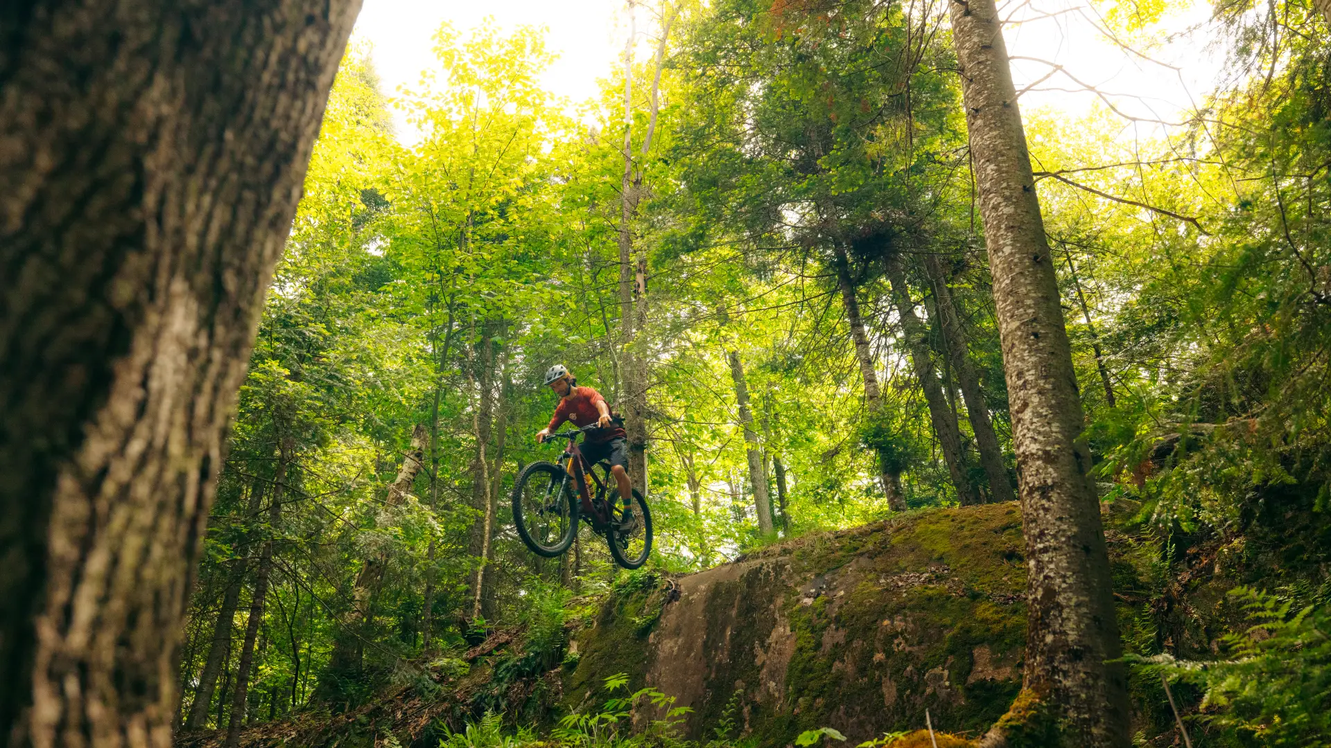 A group of three mountain bikers going downhill