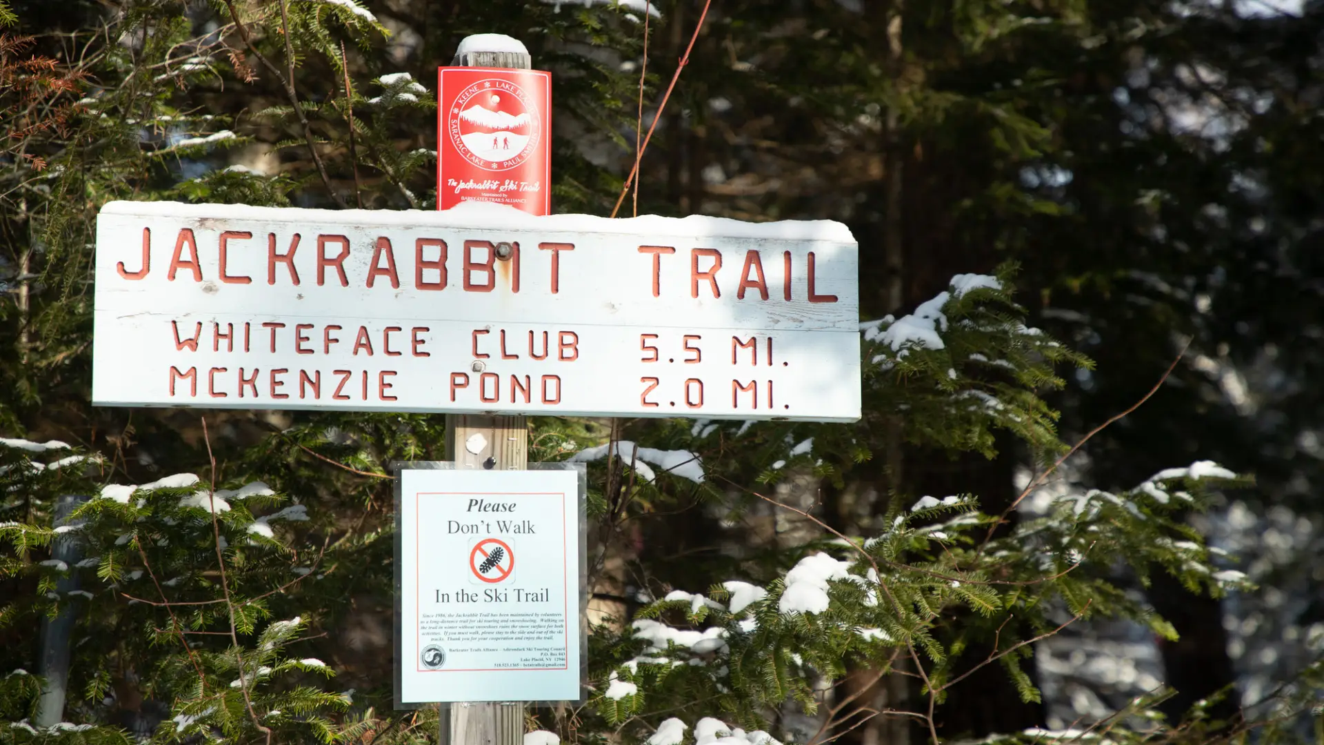 A carved wooden trail sign for the Jackrabbit Trail shows distances to the Whiteface Club and McKenzie Pond.