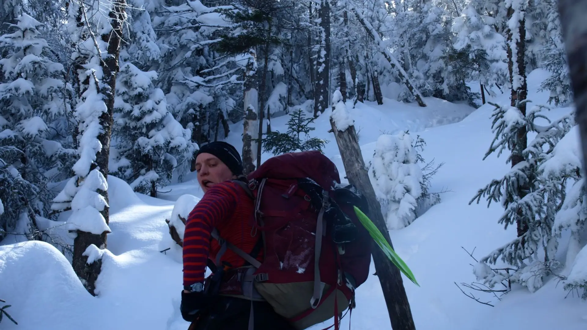Funny face on the way up Seymour