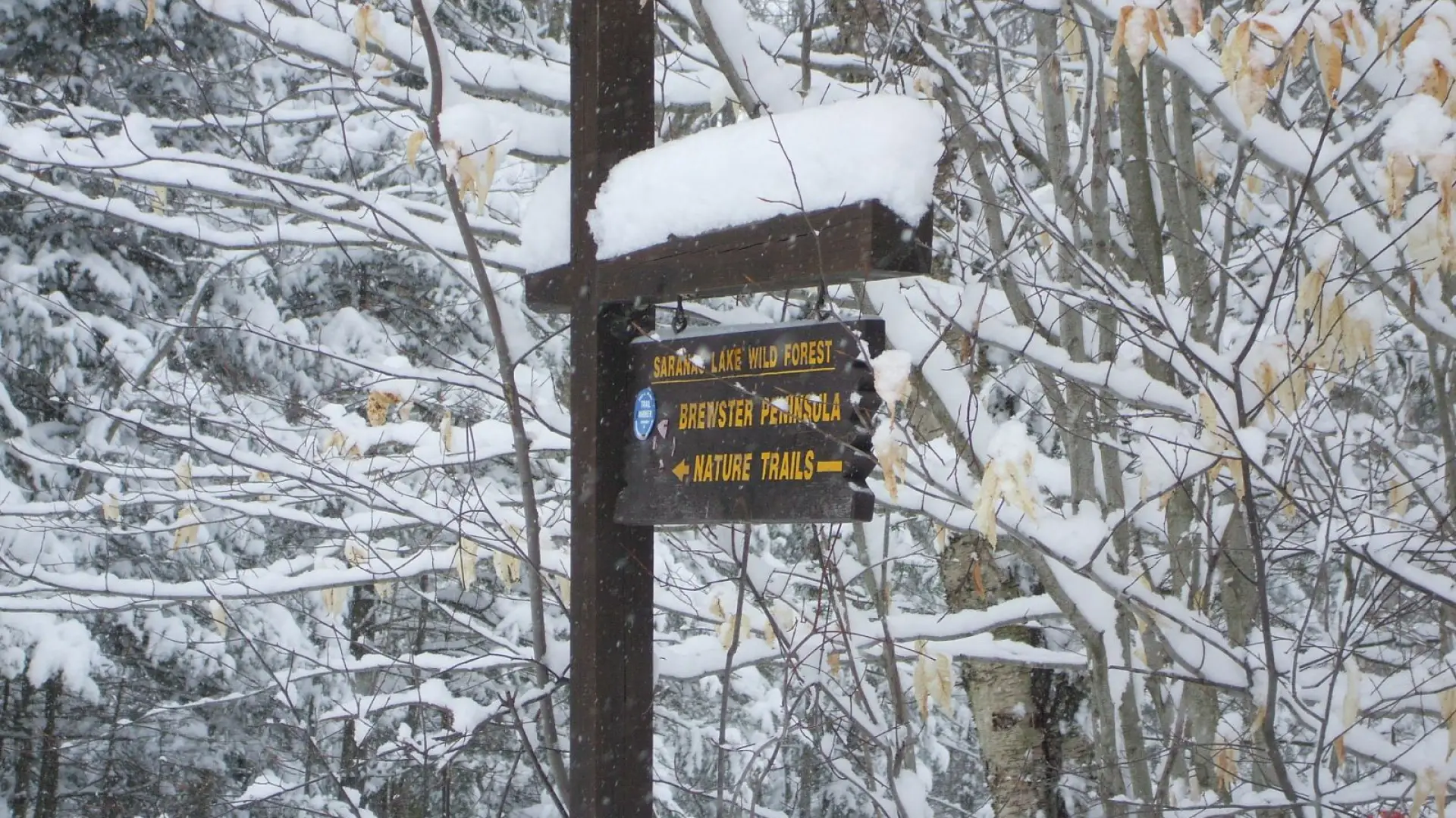 Trail sign for the Peninsula Trails