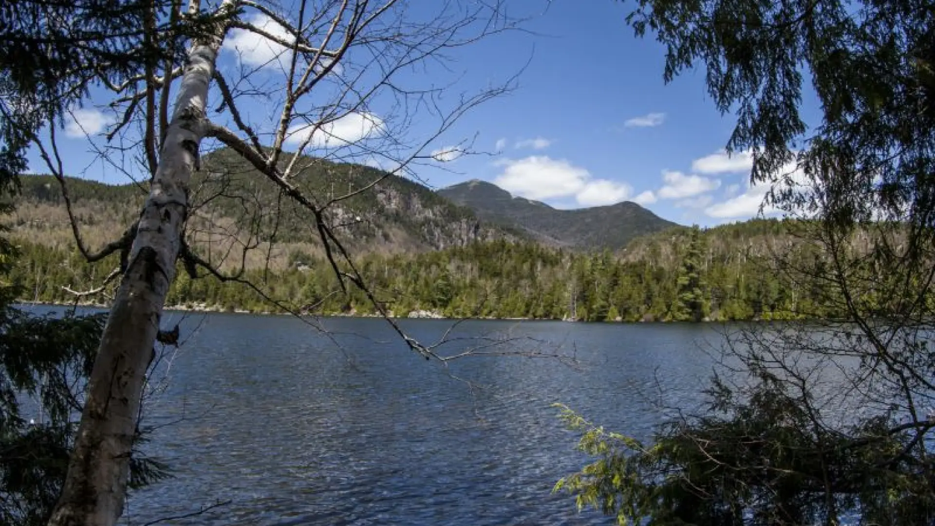 Beautiful, secluded, and a short walk from Route 86.