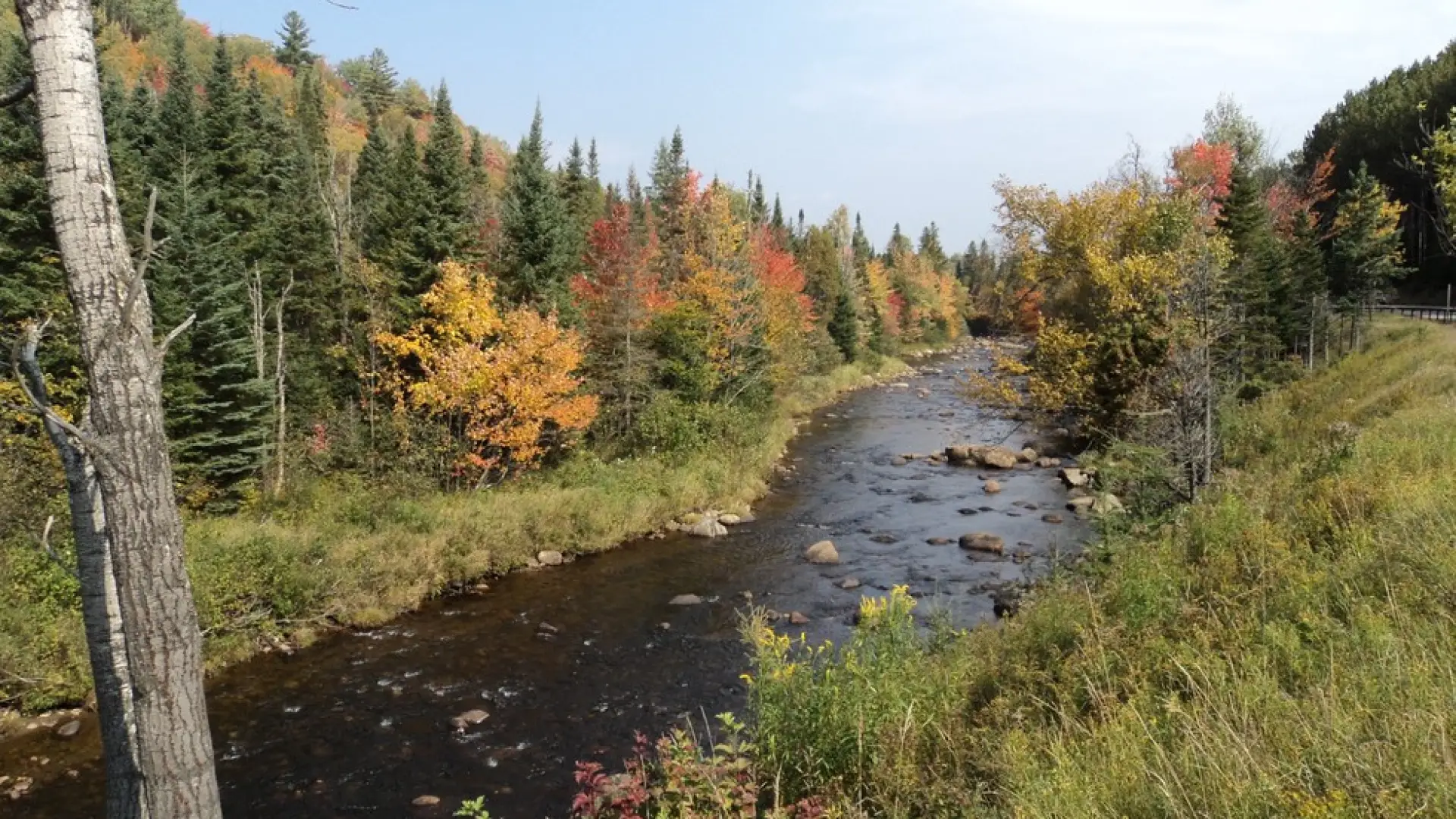 A spectacular drive to look at the leaves, a local favorite.