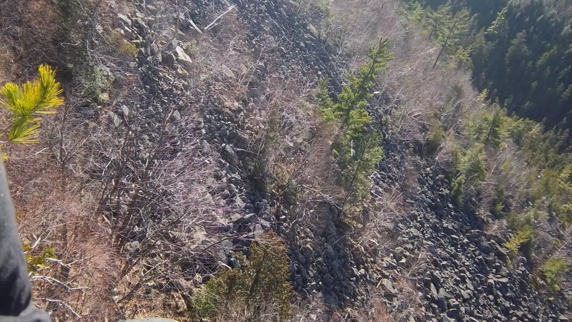 A talus field