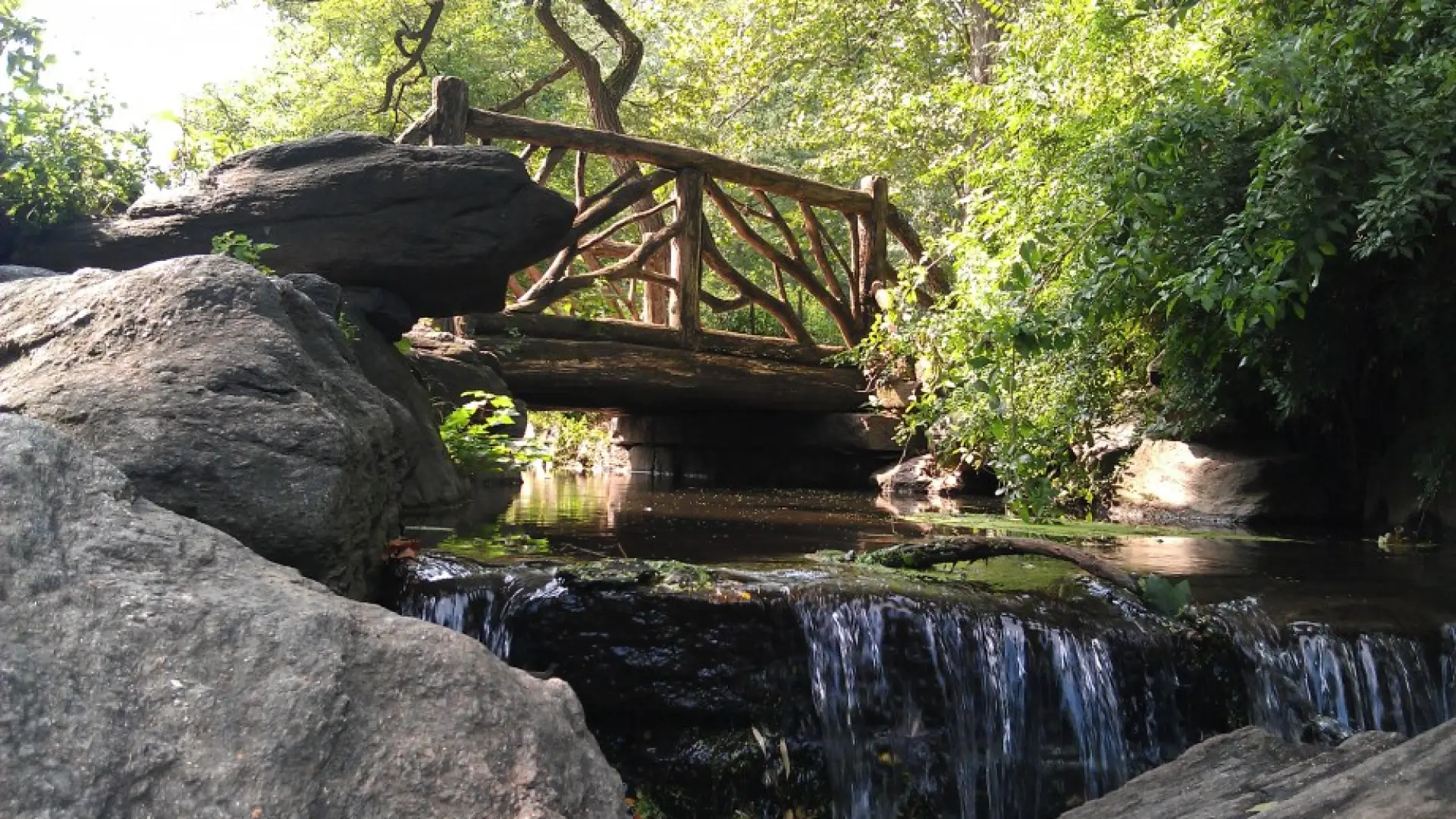 Manhattan Adirondacks