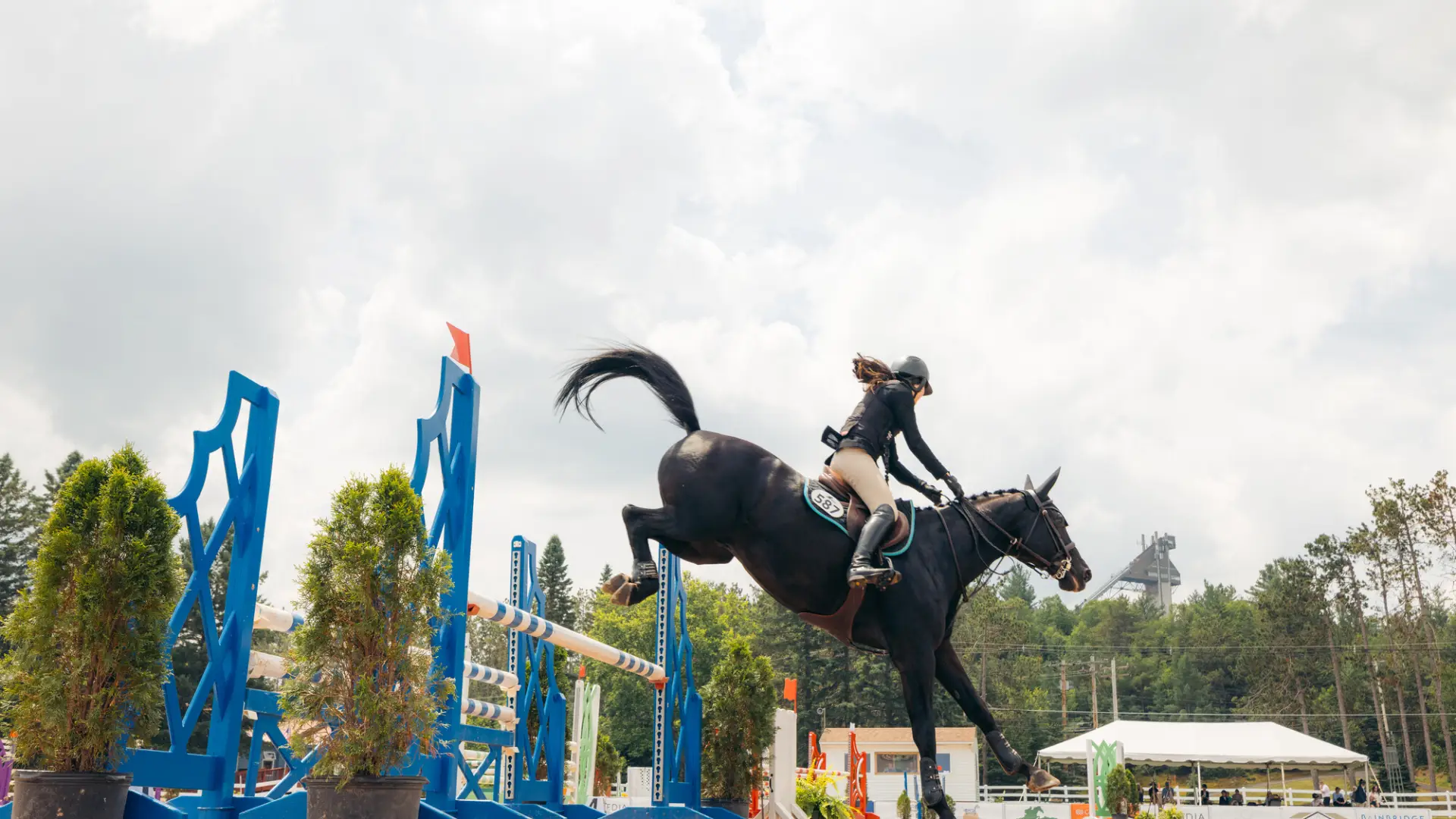 A woman passes a horse jump while riding a black horse in a competition.