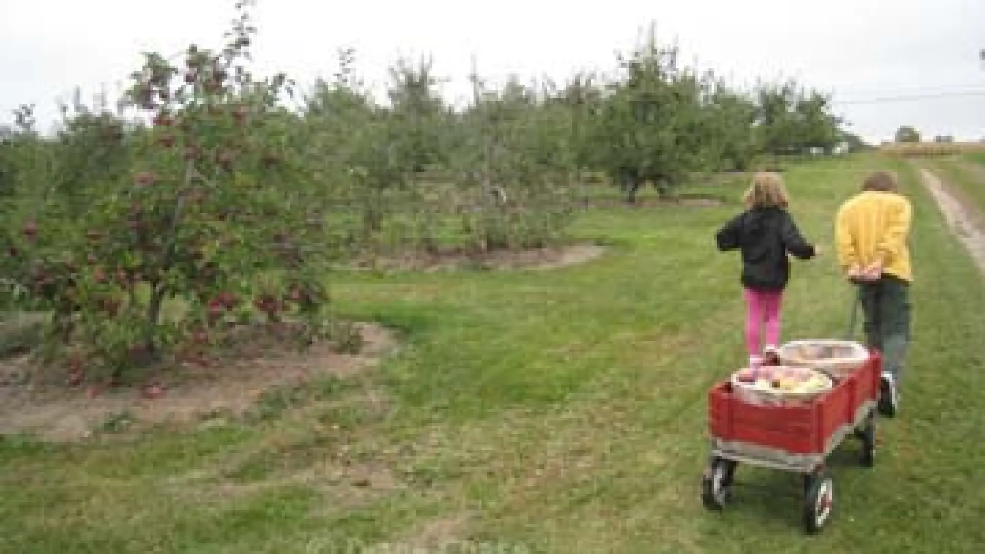 Applejacks Orchard wagon with kids