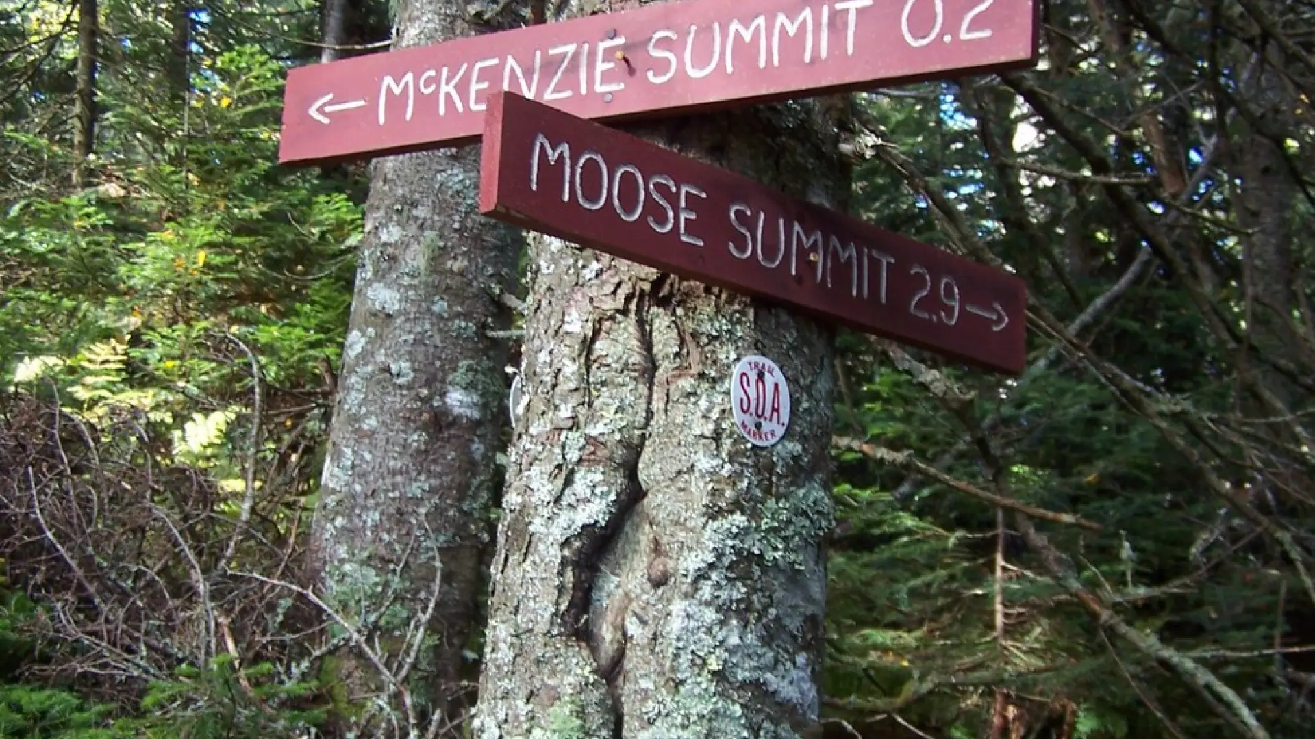 Keep a lookout for the trail junction sign.