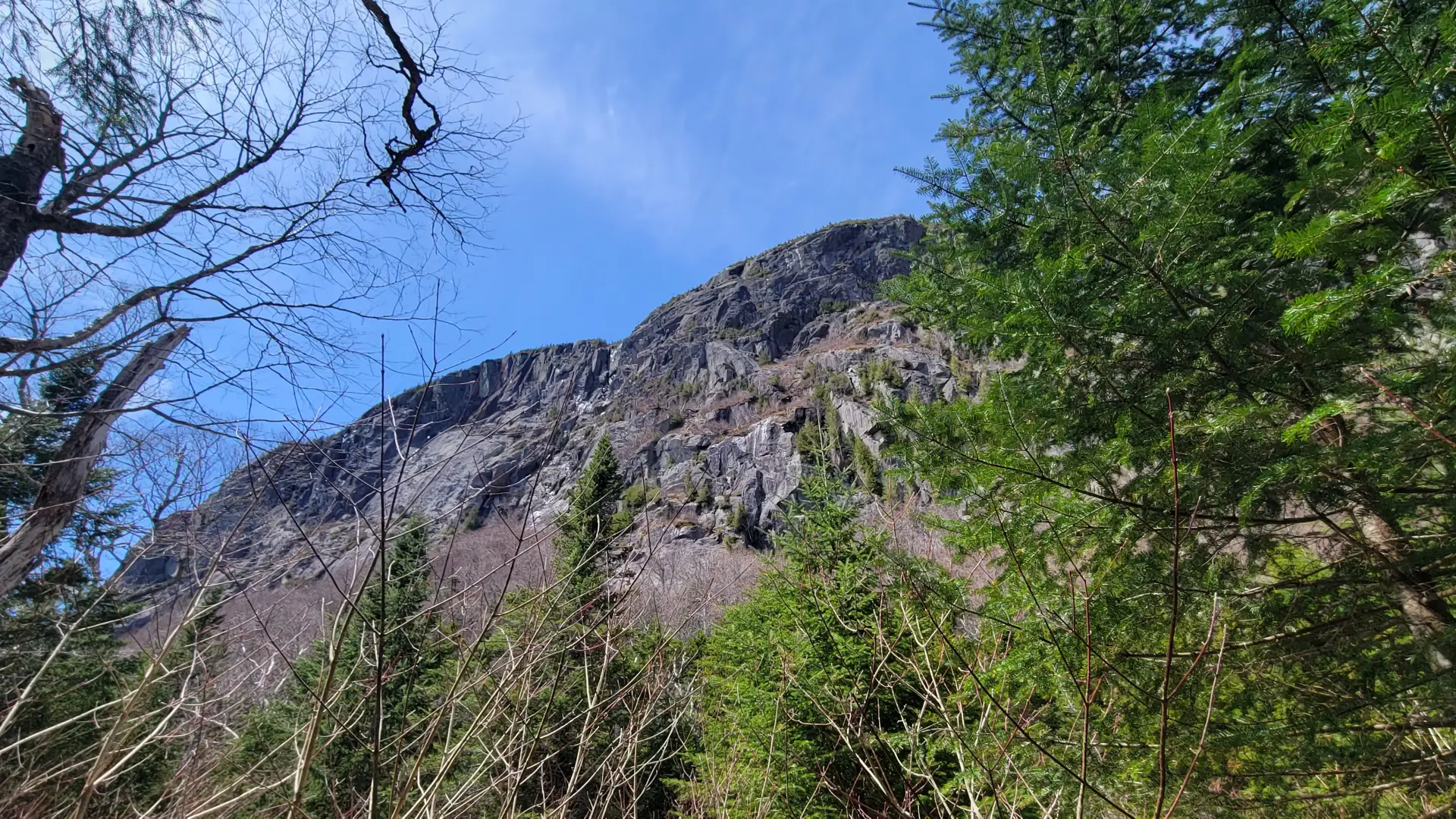 A view through the trees of a large rock cliff