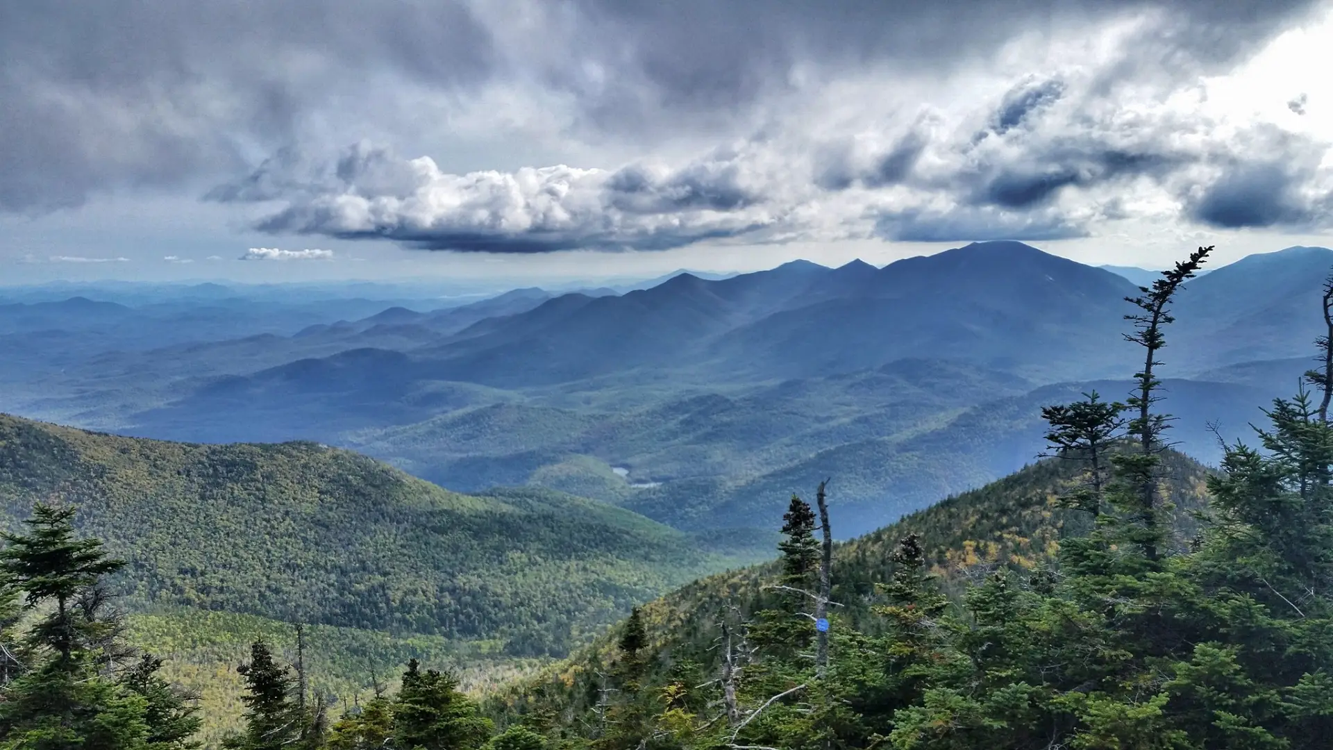 The mountainous view with a few trees from Giant.