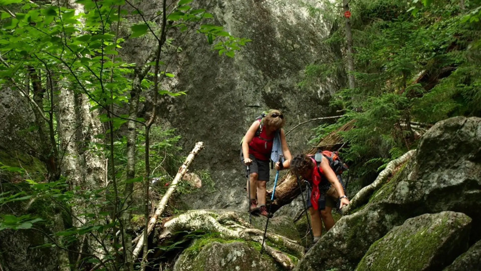 Still plenty of rock scrambles for trail fans.