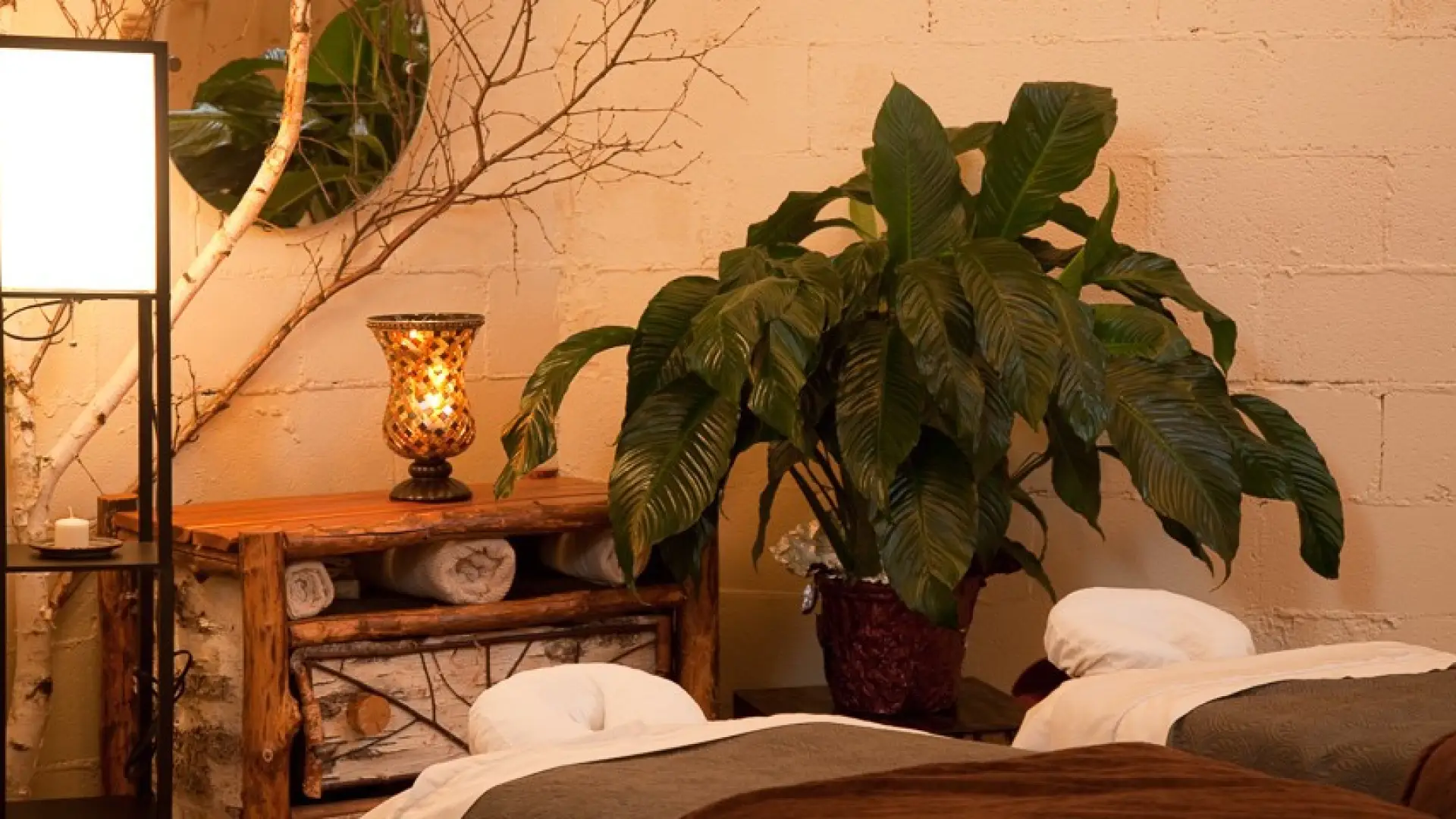 The couples massage room with two tables, a large plant and warm lighting at Healing Elements.