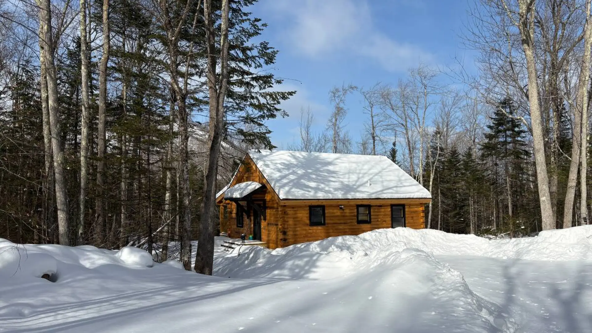 A log cabin tucked amongst the pine trees, covered in snow.