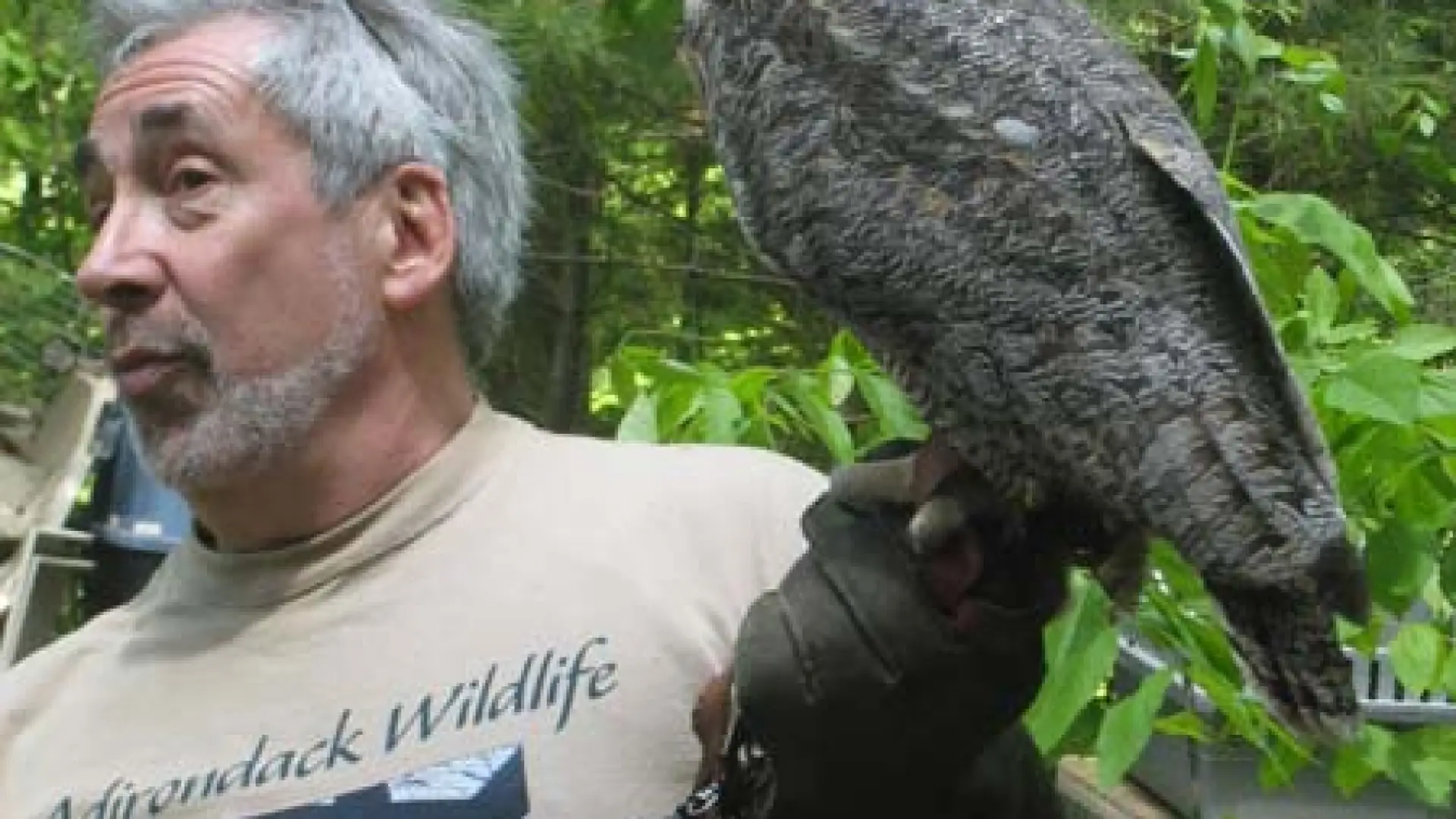 Wildlife Refuge owl