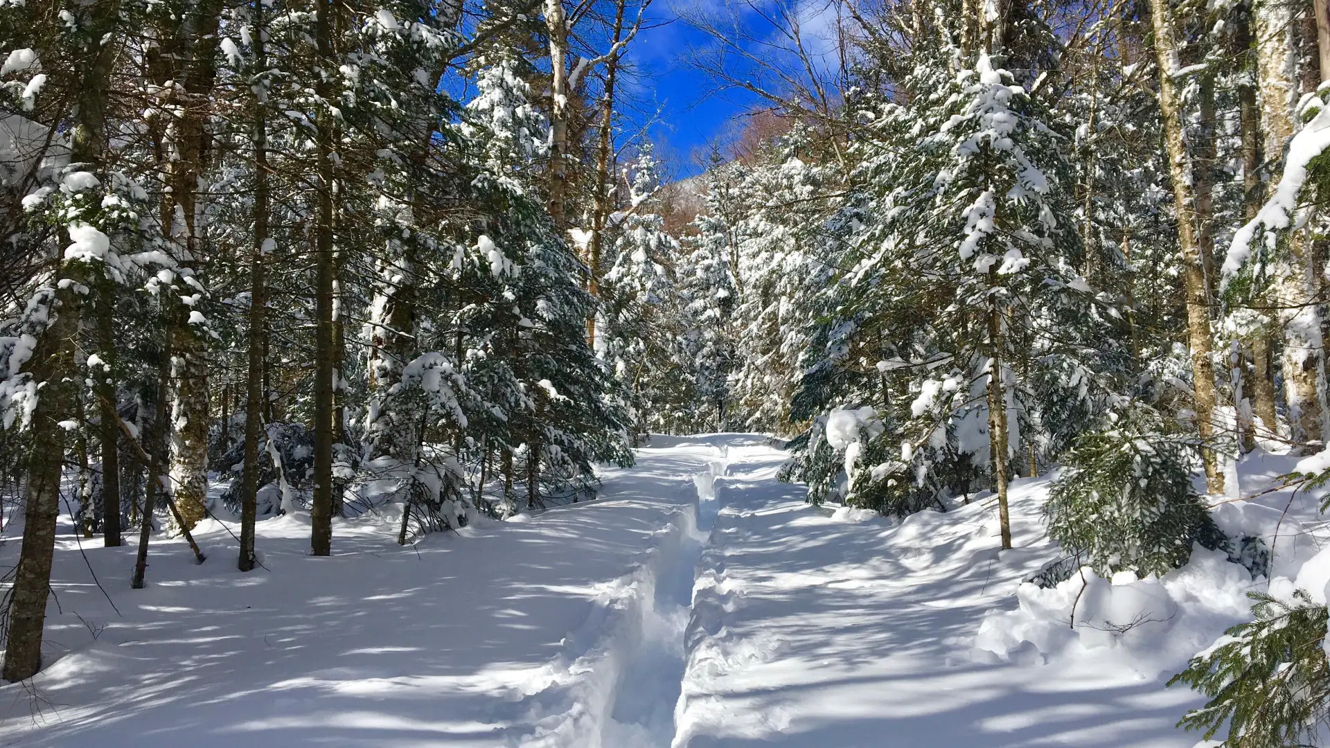 The Jackrabbit Trail is a popular choice.