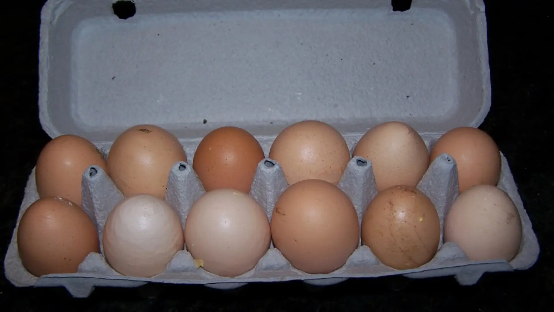 Giant eggs