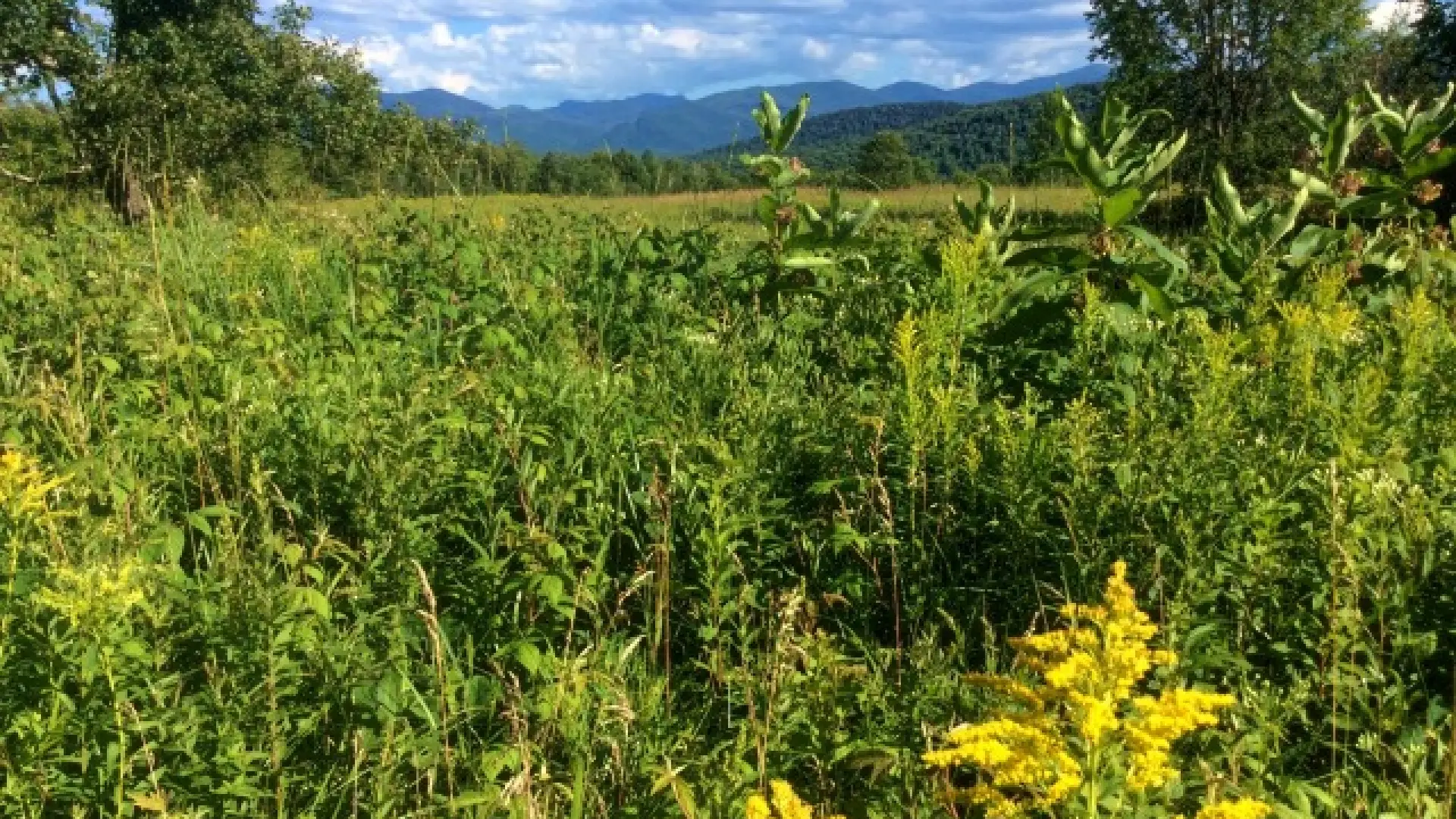 The loop trail begins and ends with these High Peaks views.