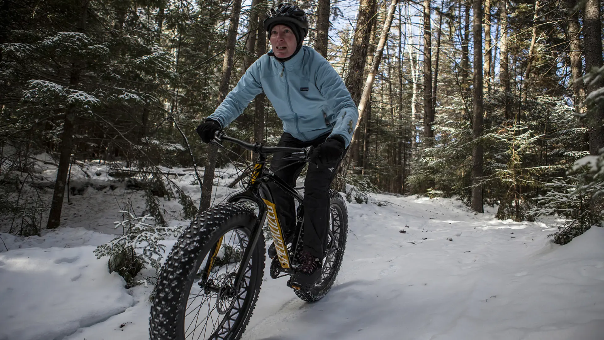 Riding on the Henry's Woods trails