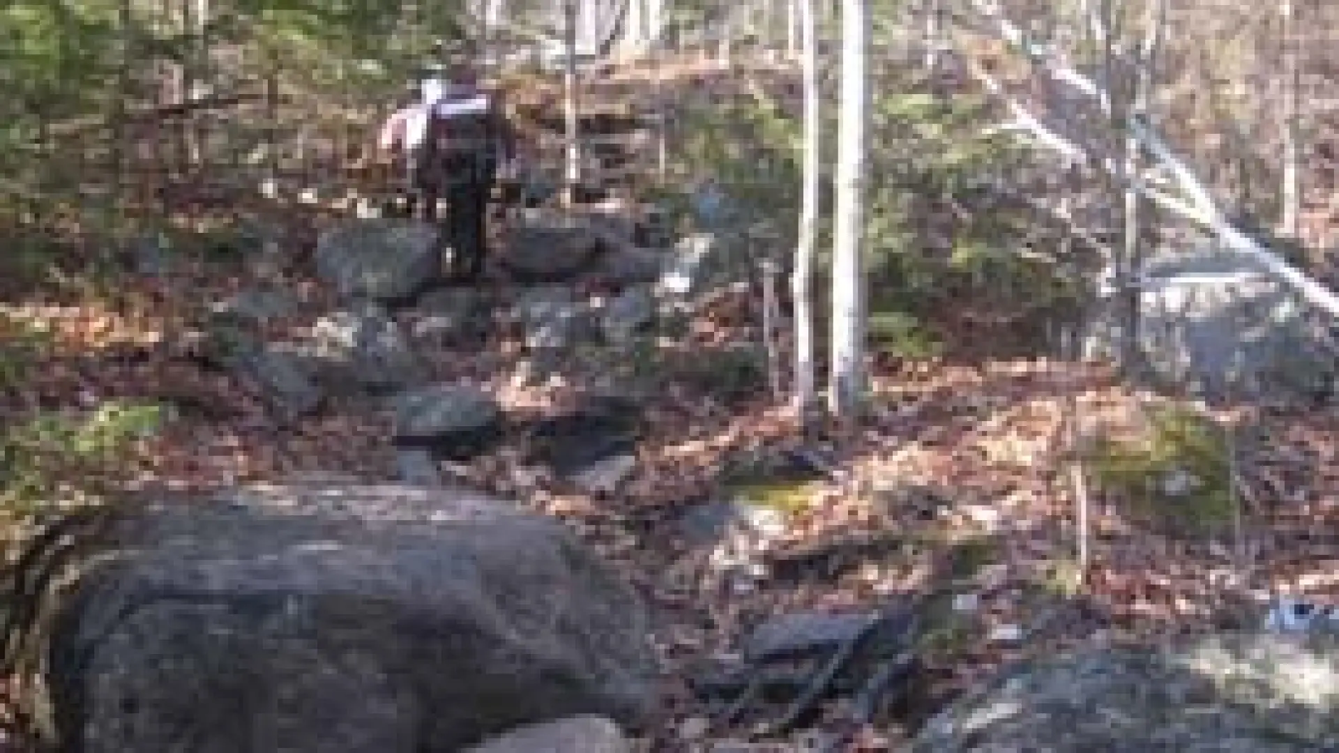 Short Trail up Mt Jo