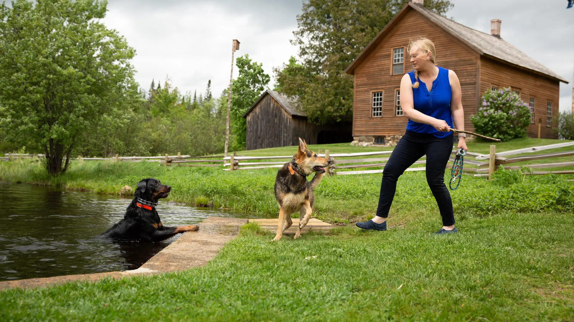 Bring the dog to John Brown's Farm.