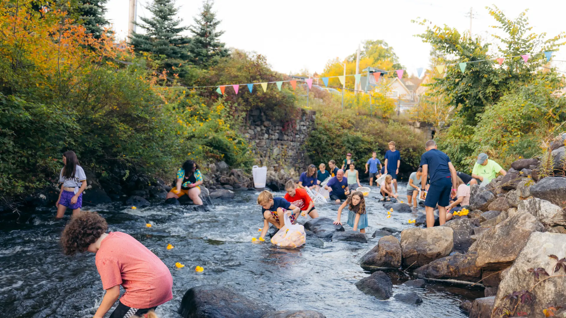 Children stand in river and on rocks along the shore picking yellow rubber ducks out of the water 
