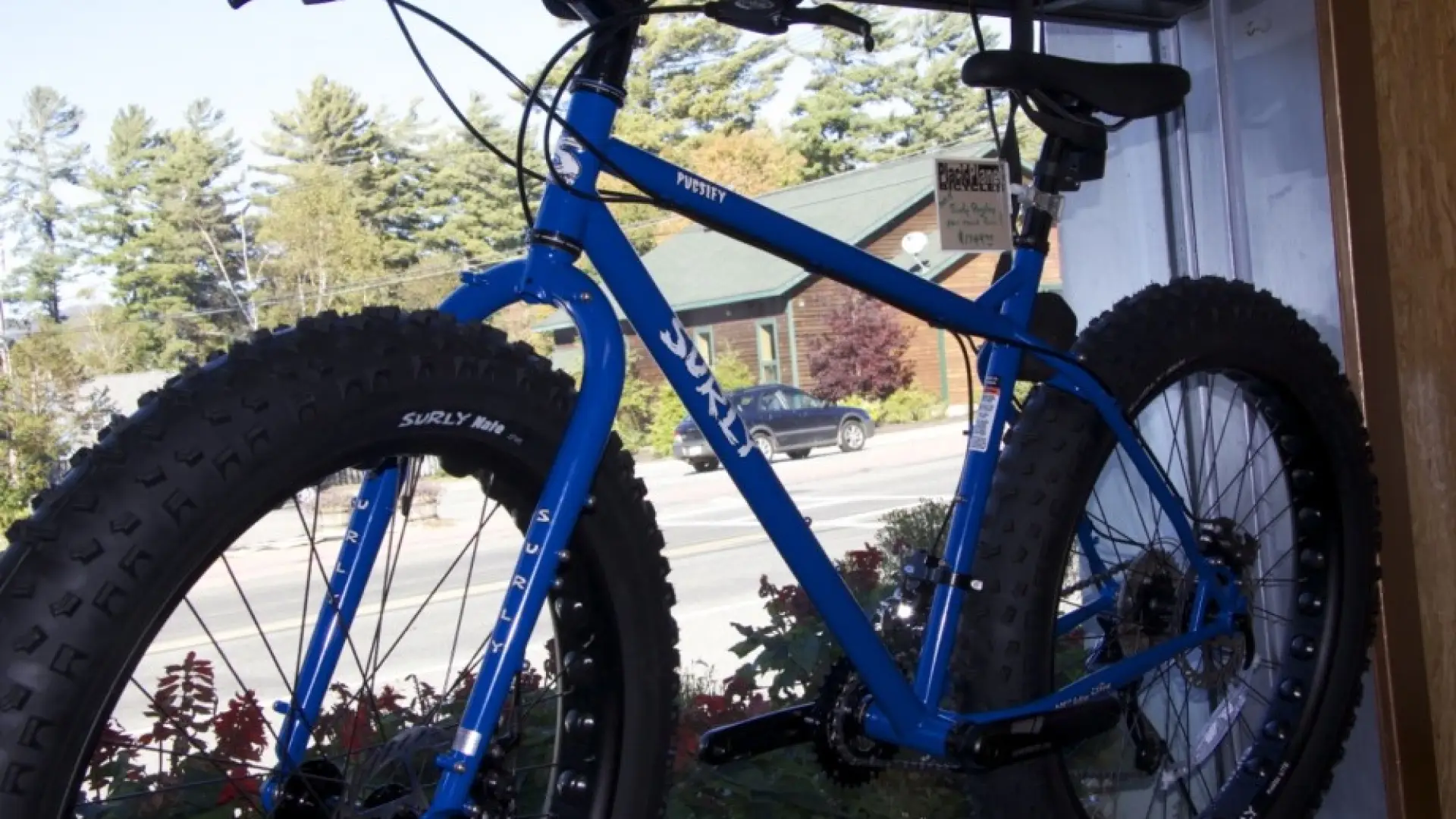 Fat tire bikes are gaining popularity