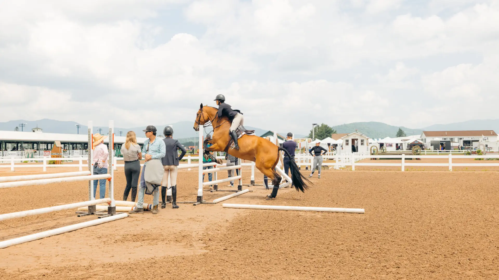 A horse jumping over an obstacle.