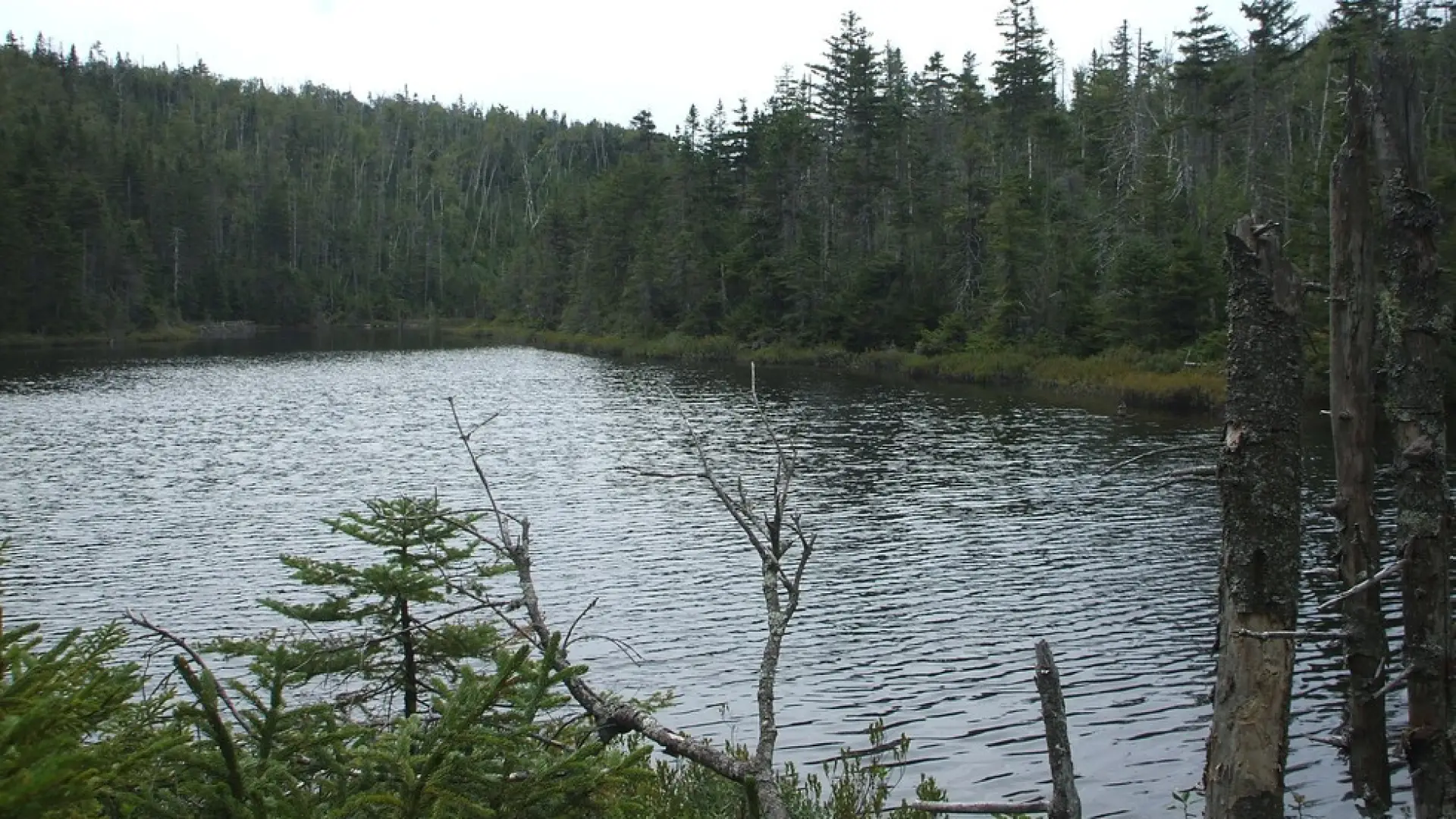 A day hike with stunning, and varied, scenery.