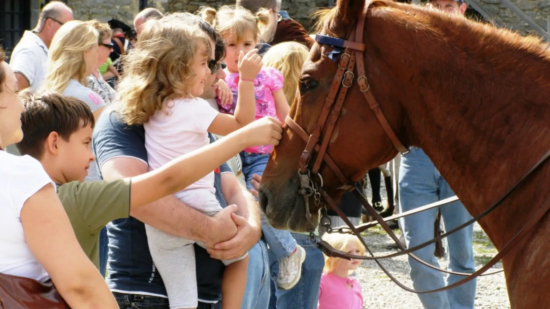 Heritage Harvest and Horse Festival at Fort Ticonderoga