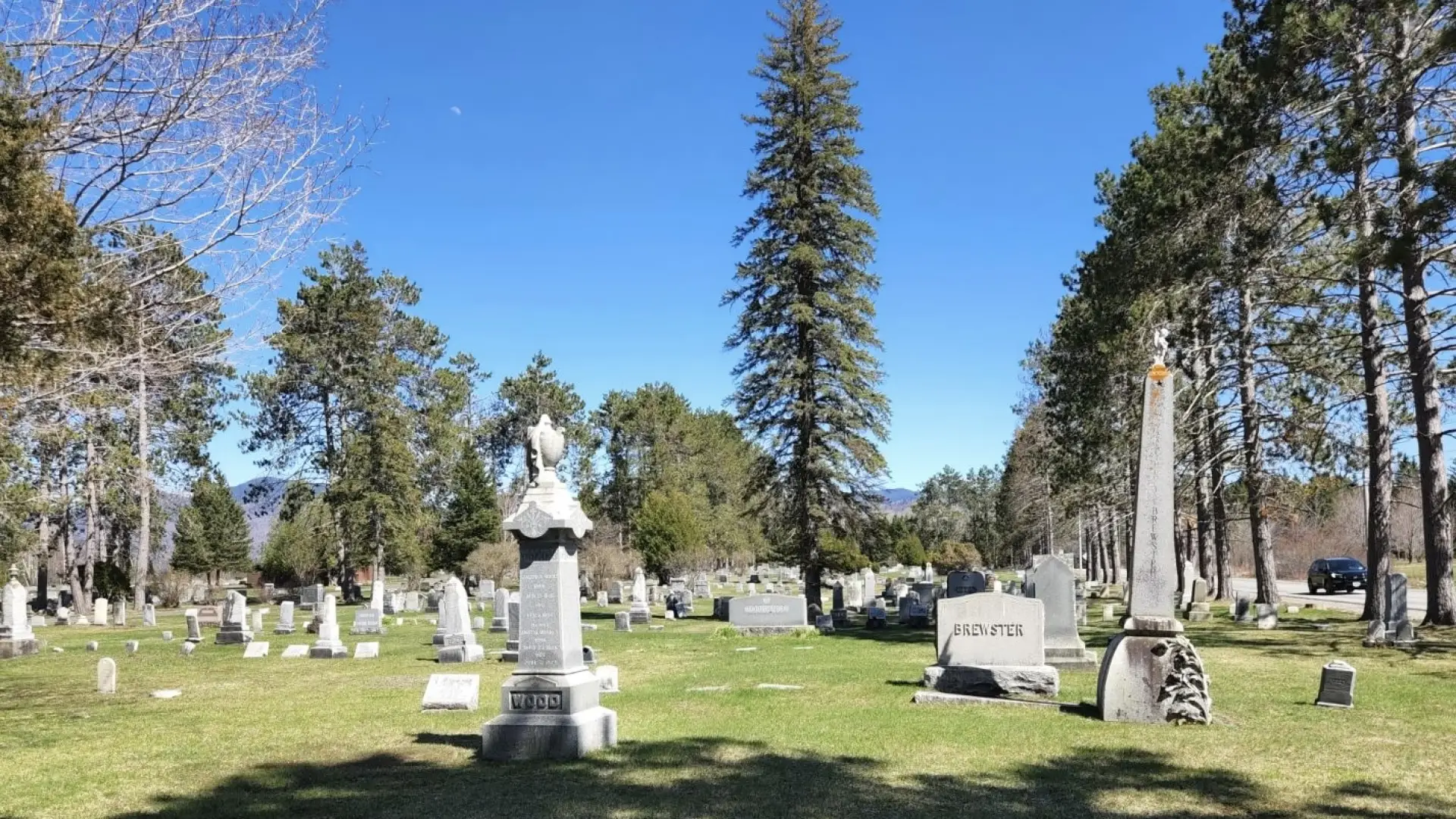 A cemetery with various headstones, green grass, pine trees, and a blue sky