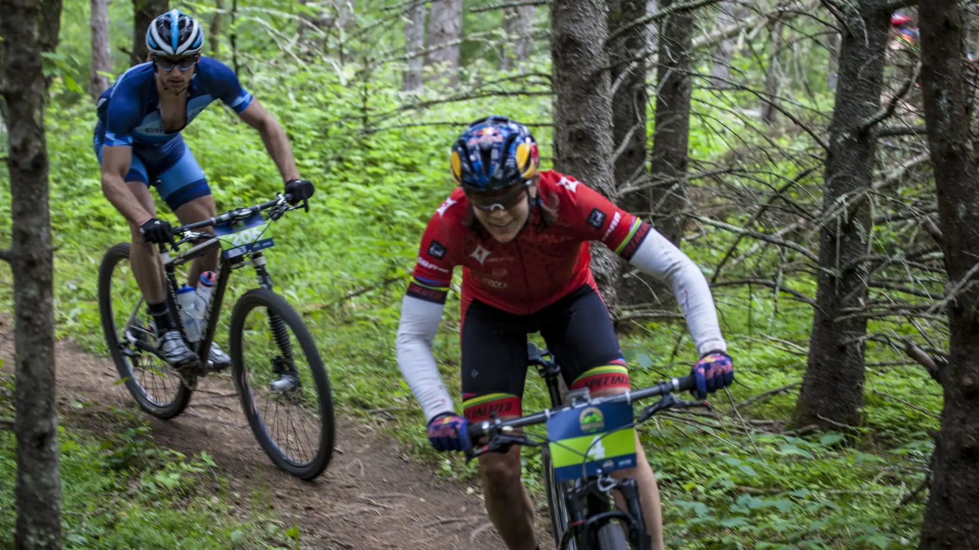 Mountain Bikers racing on forest trail