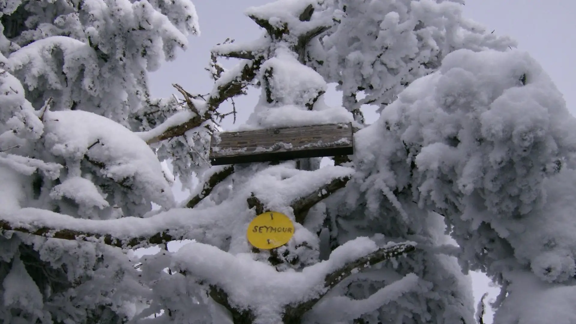 The summit is wooded, the best views are from a ledge below it.