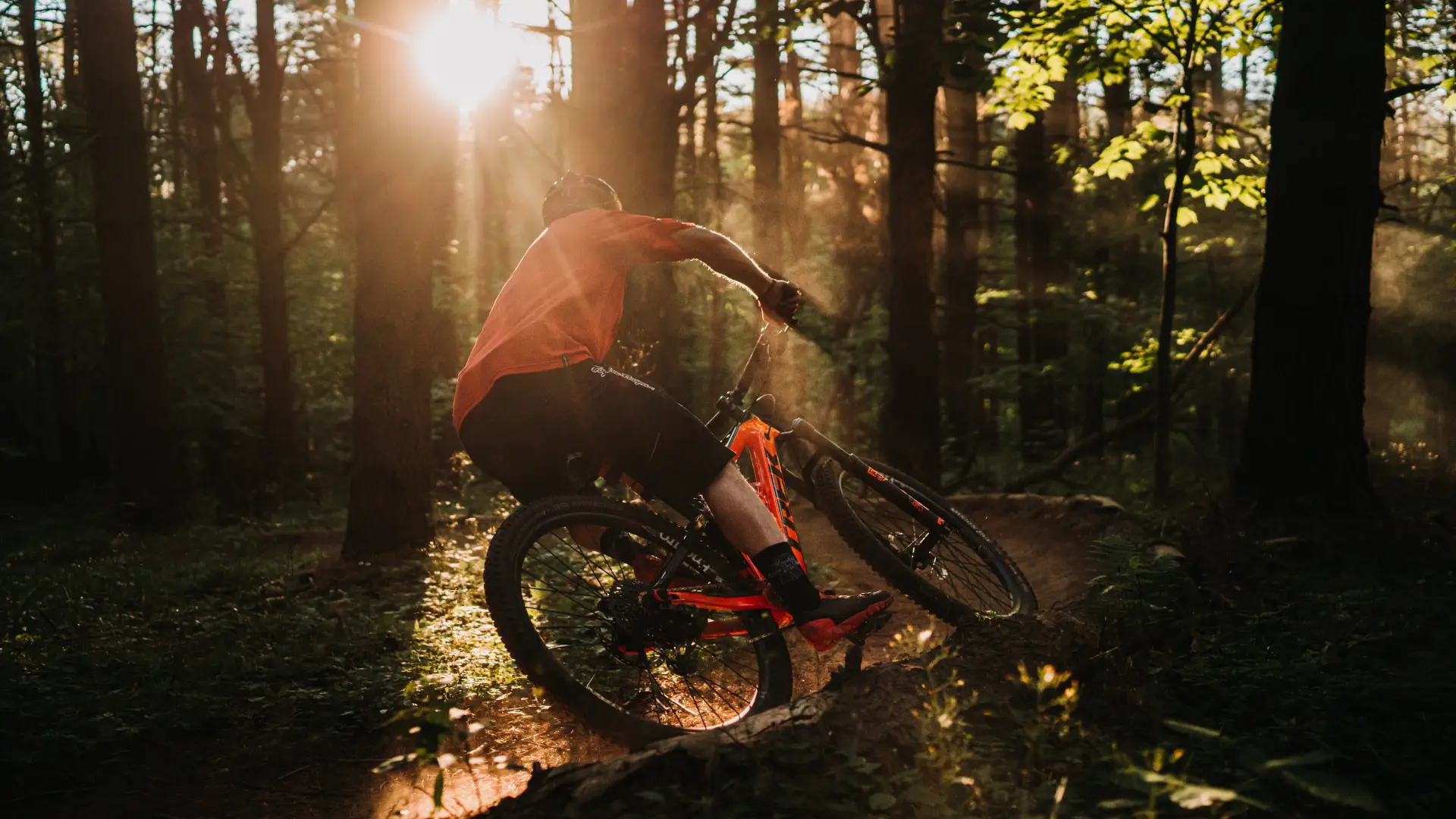 A mountain bike cutting through trees at last light