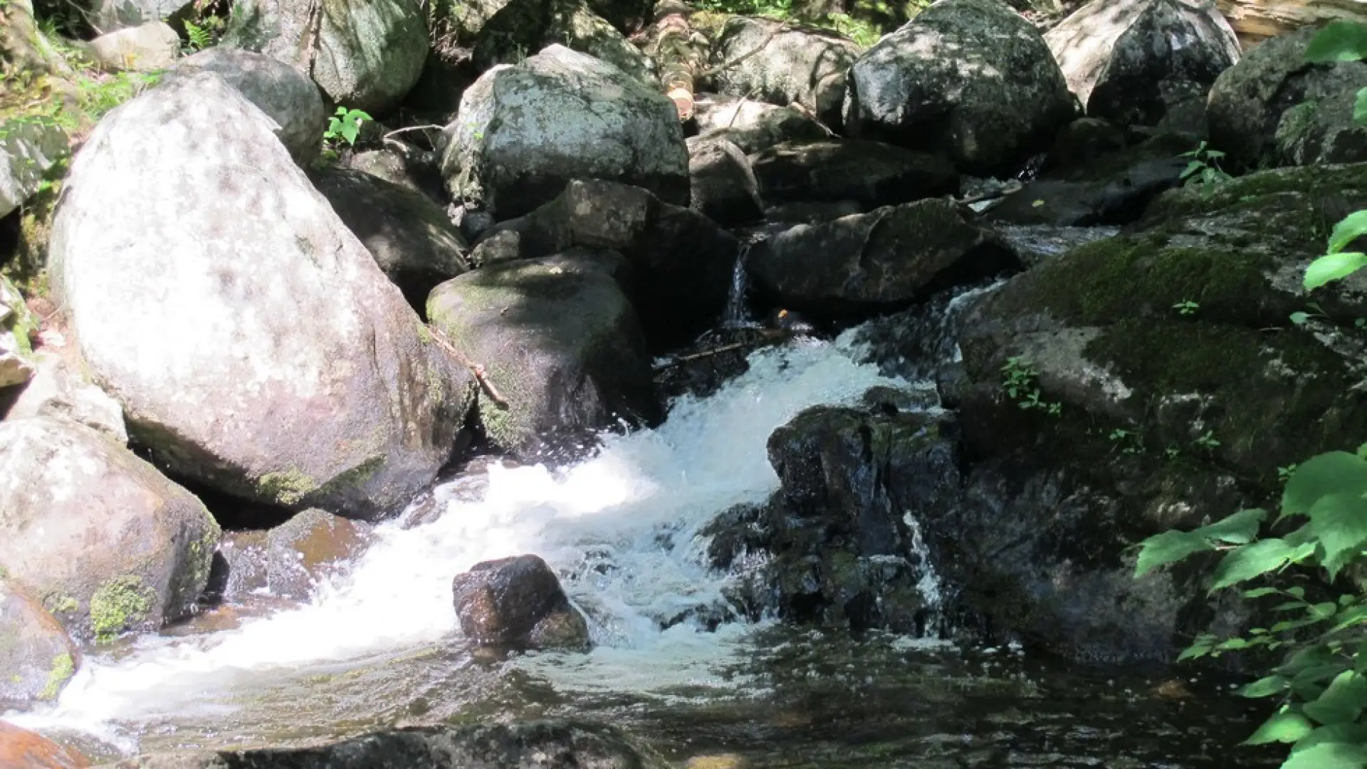 The Ausable is known for its appeal to the angler and the photographer.