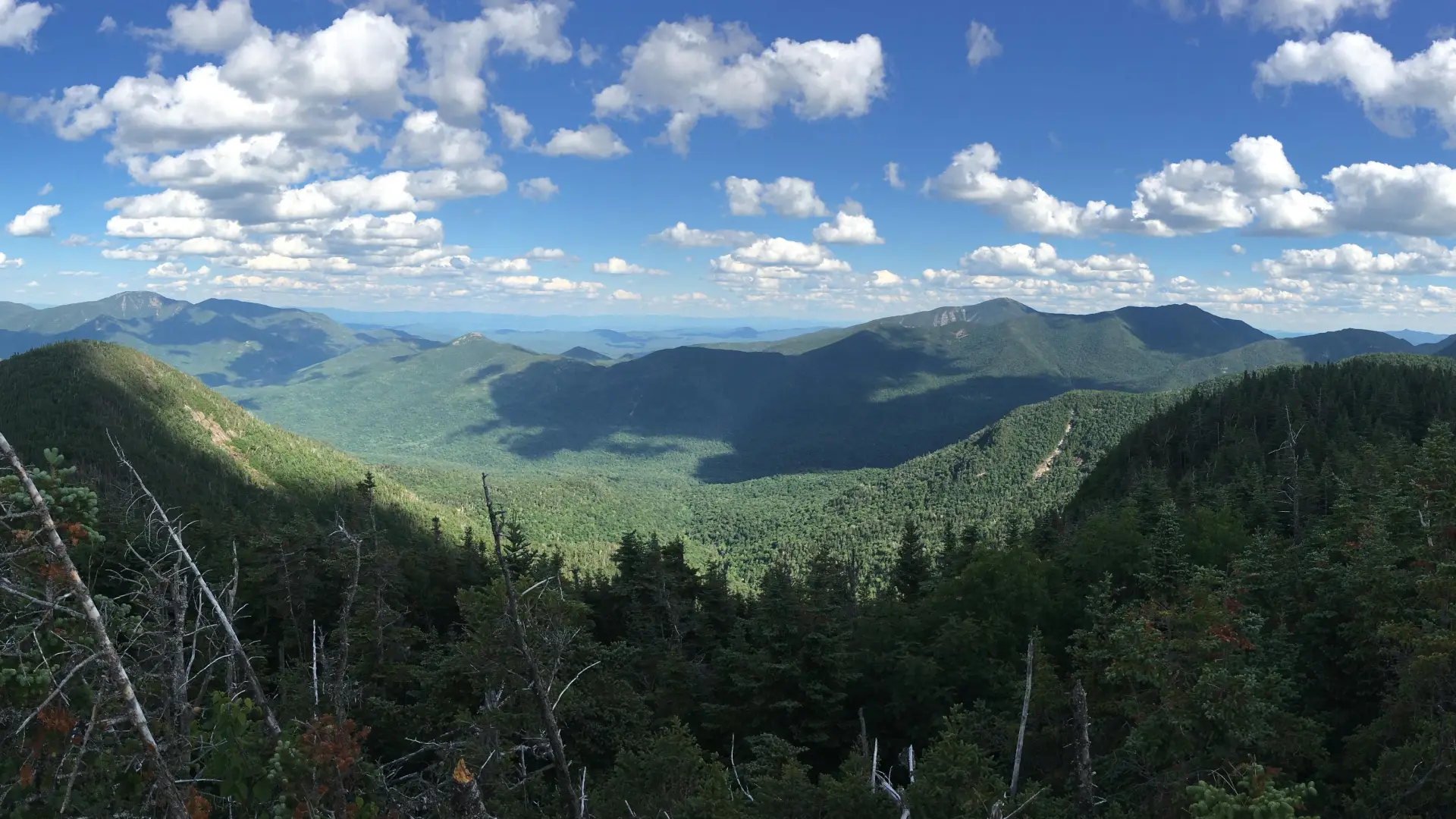 The Adirondack vista revealed from the summit of Upper Wolfjaw Mountain.