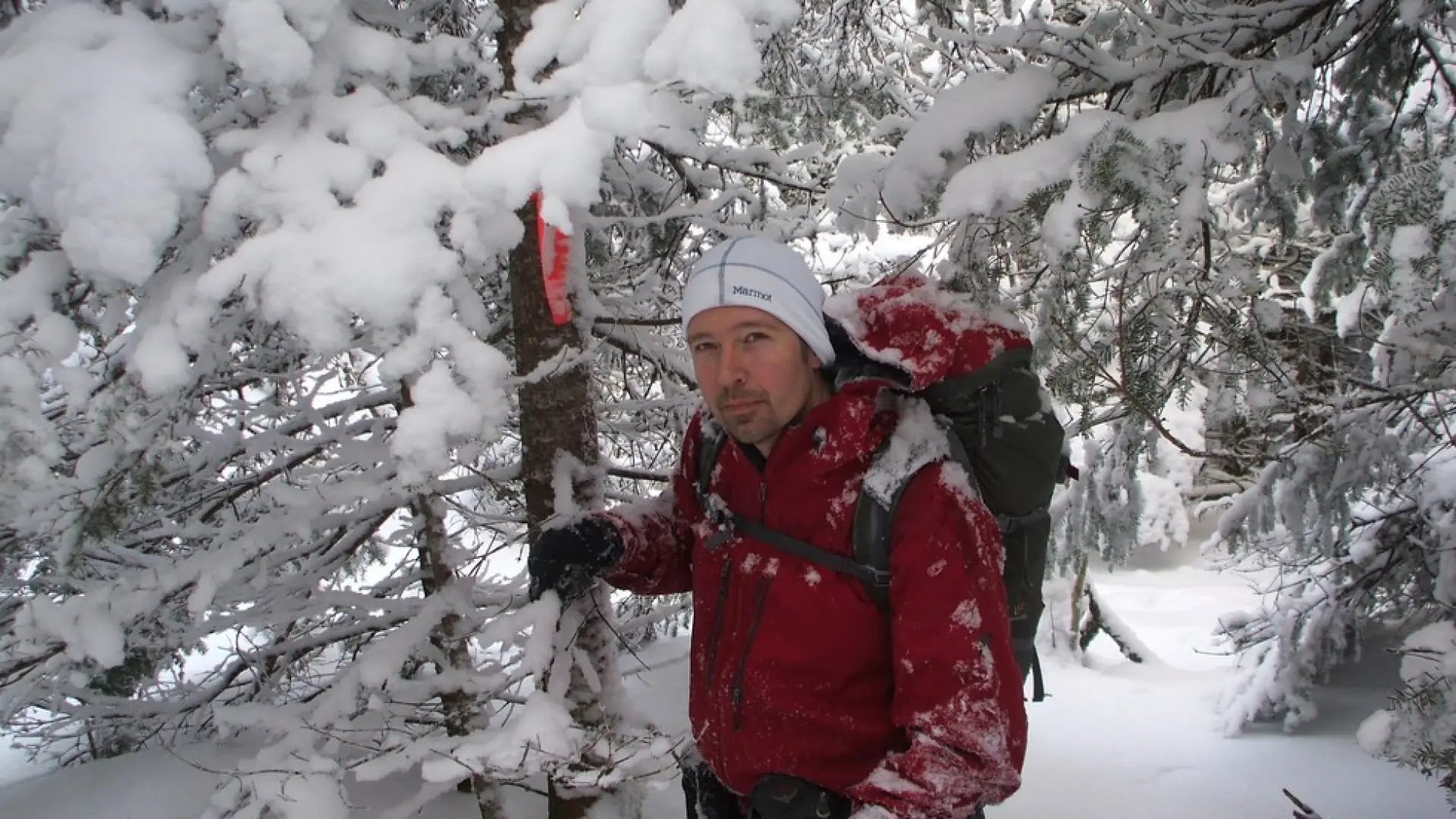 WInter wonderland at the summit of Wilmington Peak.