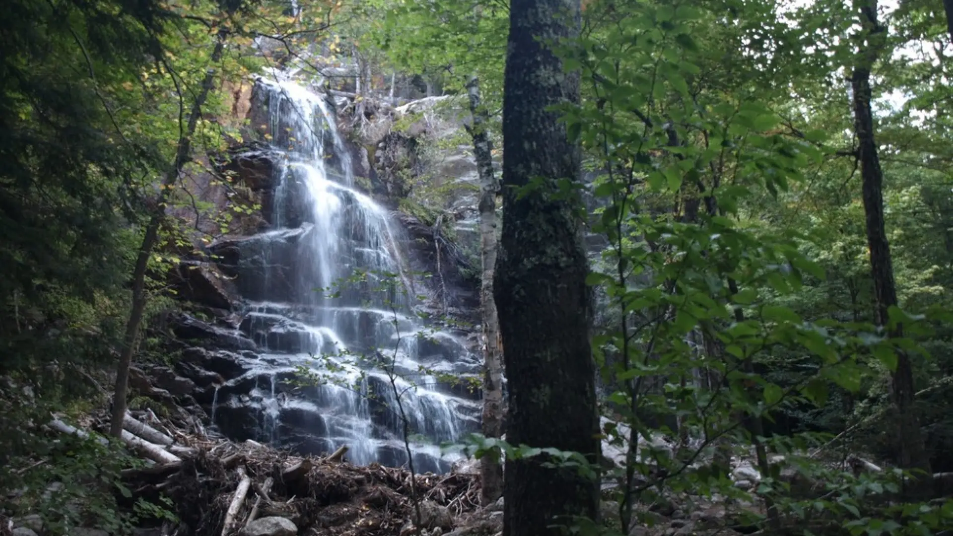 The falls emerge from the trees, but they can be heard much earlier.