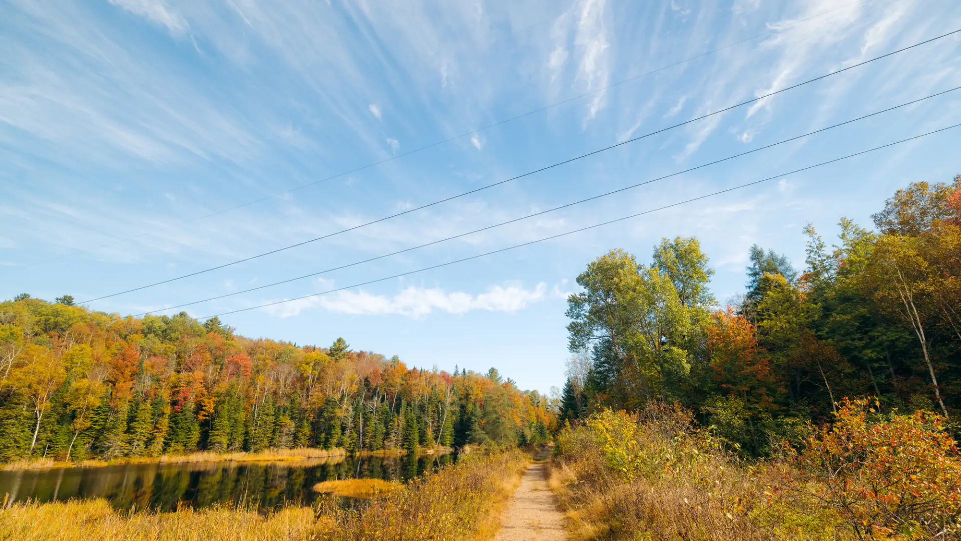 Bloomingdale Bog in the fall