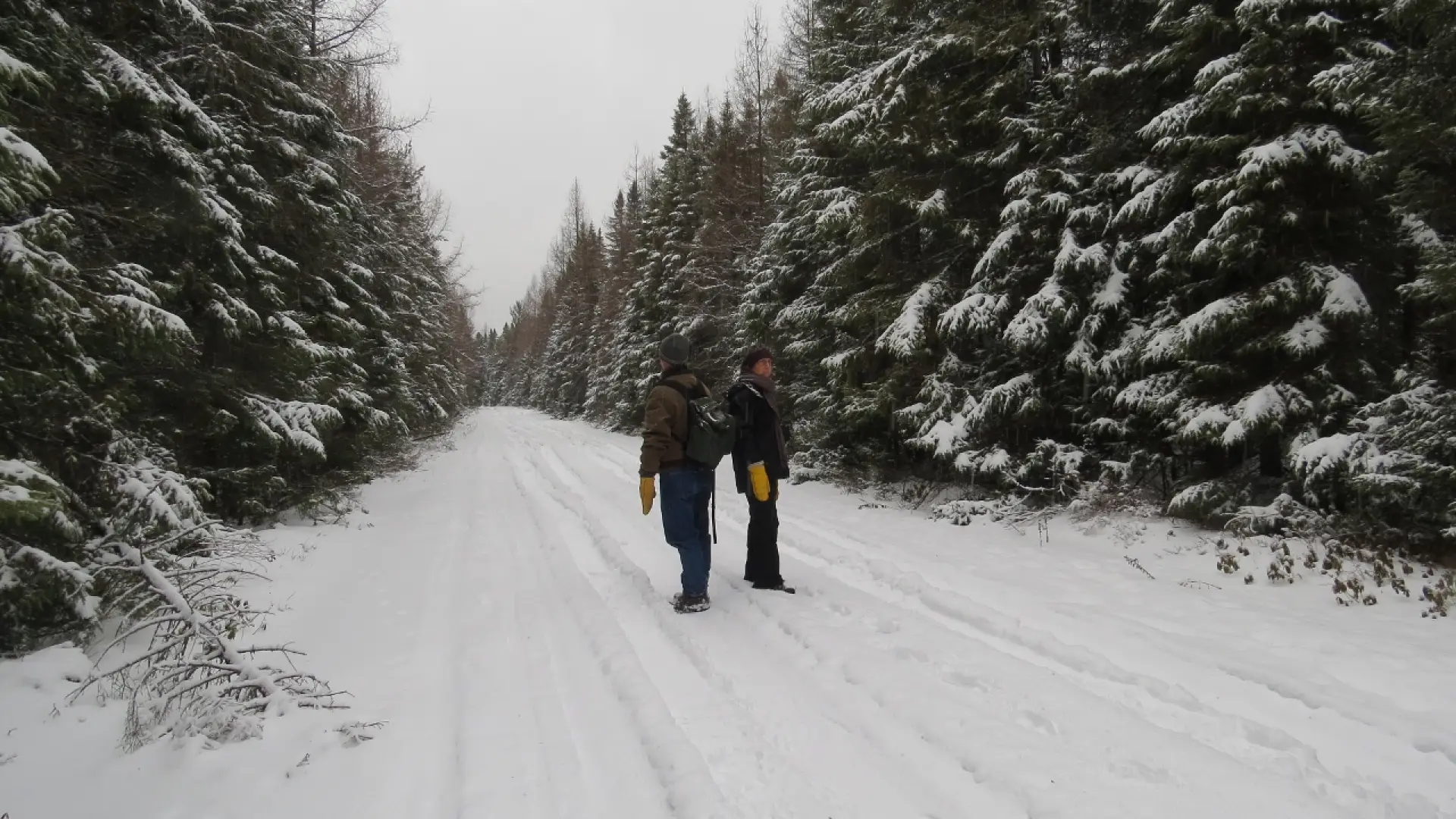 John & Terese Hart listening for birds on Bigelow Road