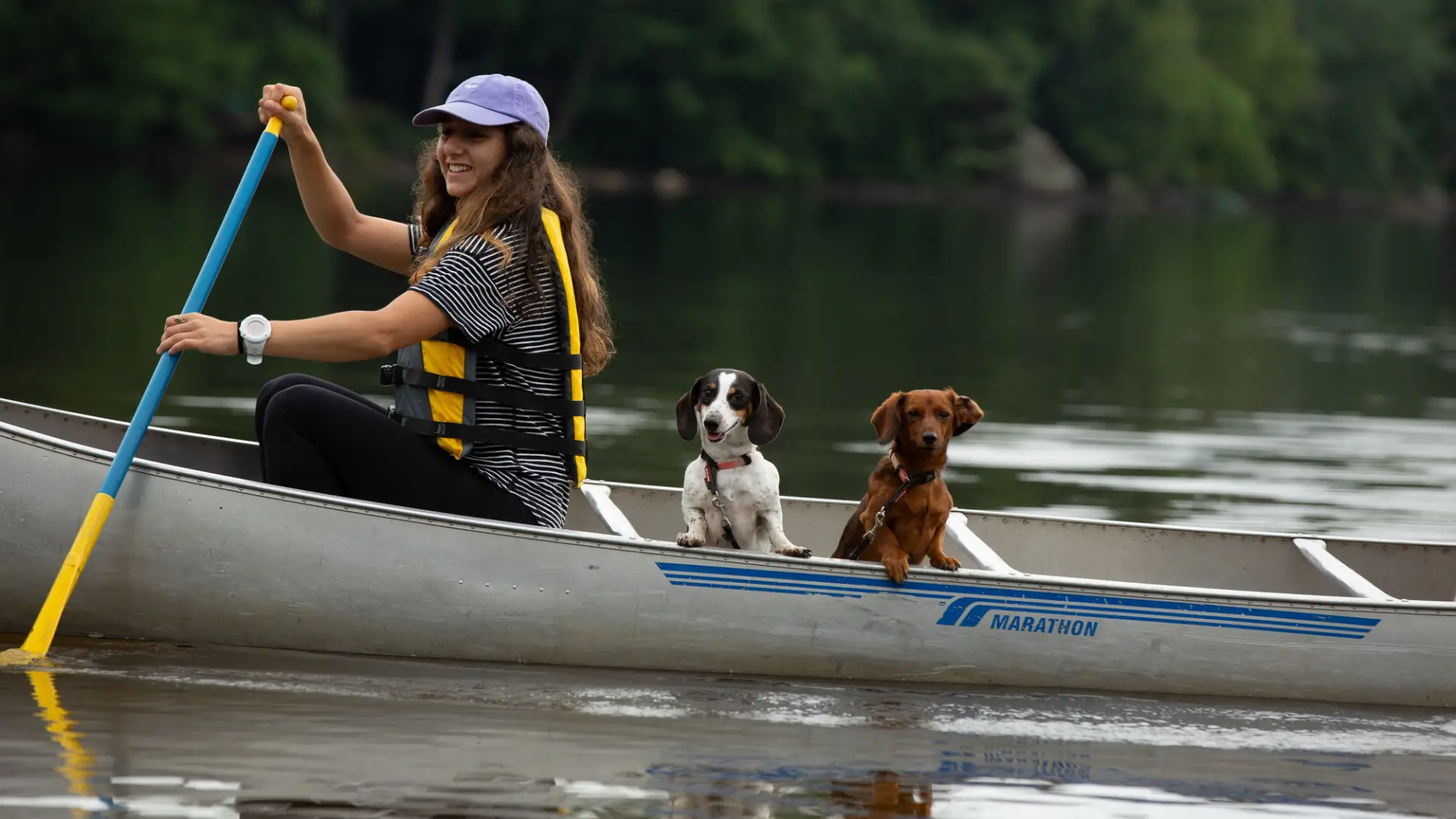 A woman paddling a canoe with two dogs.