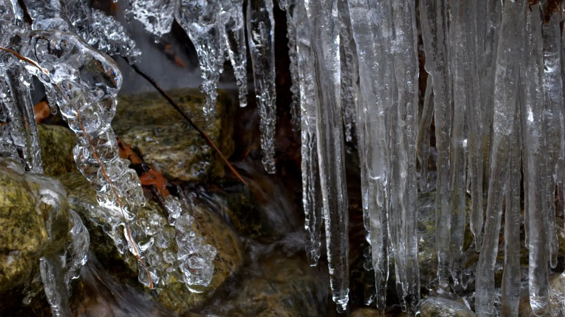Icicles Everywhere