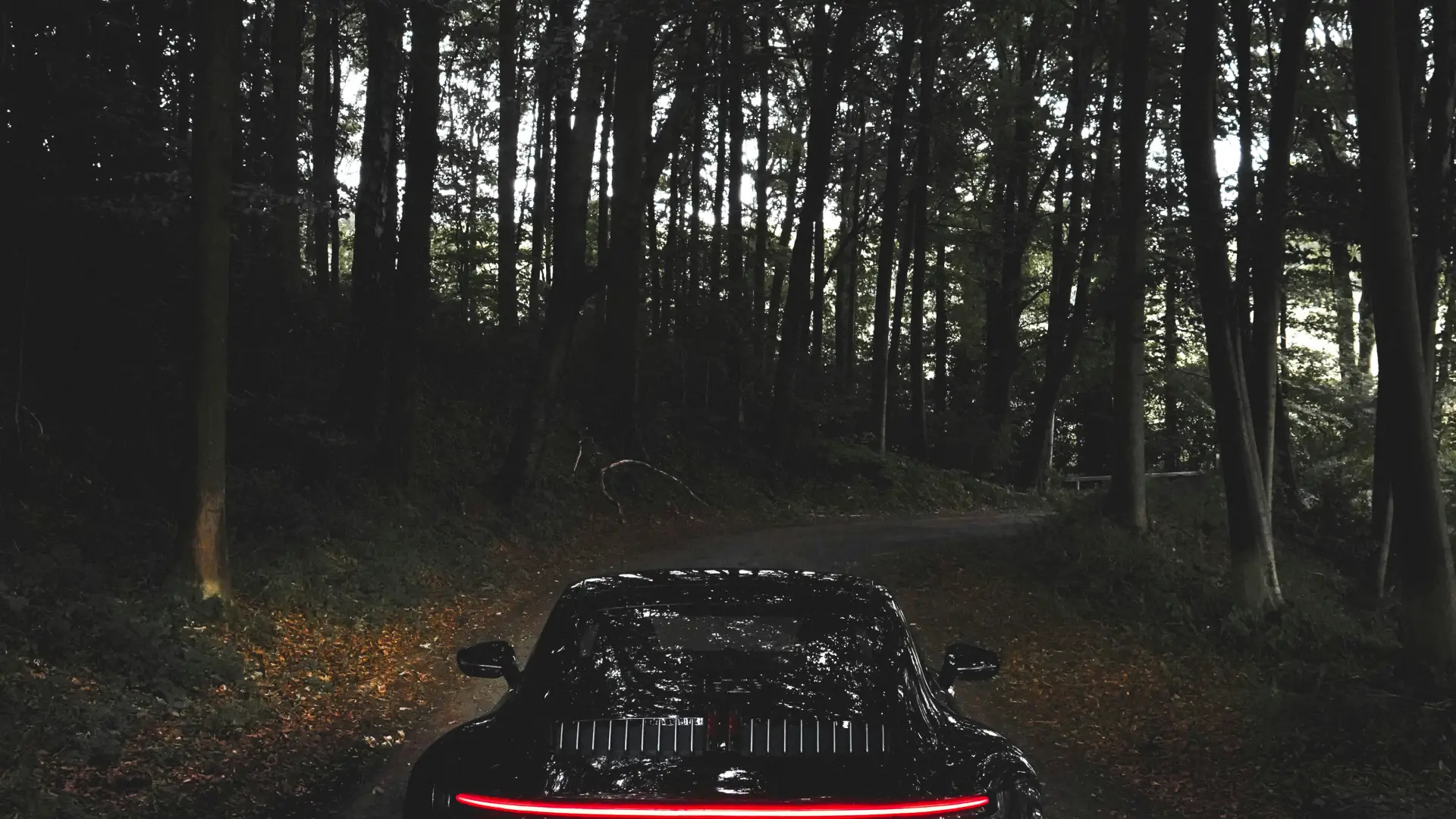 Stock image of porche sports car from behind on dark wooded single lane road