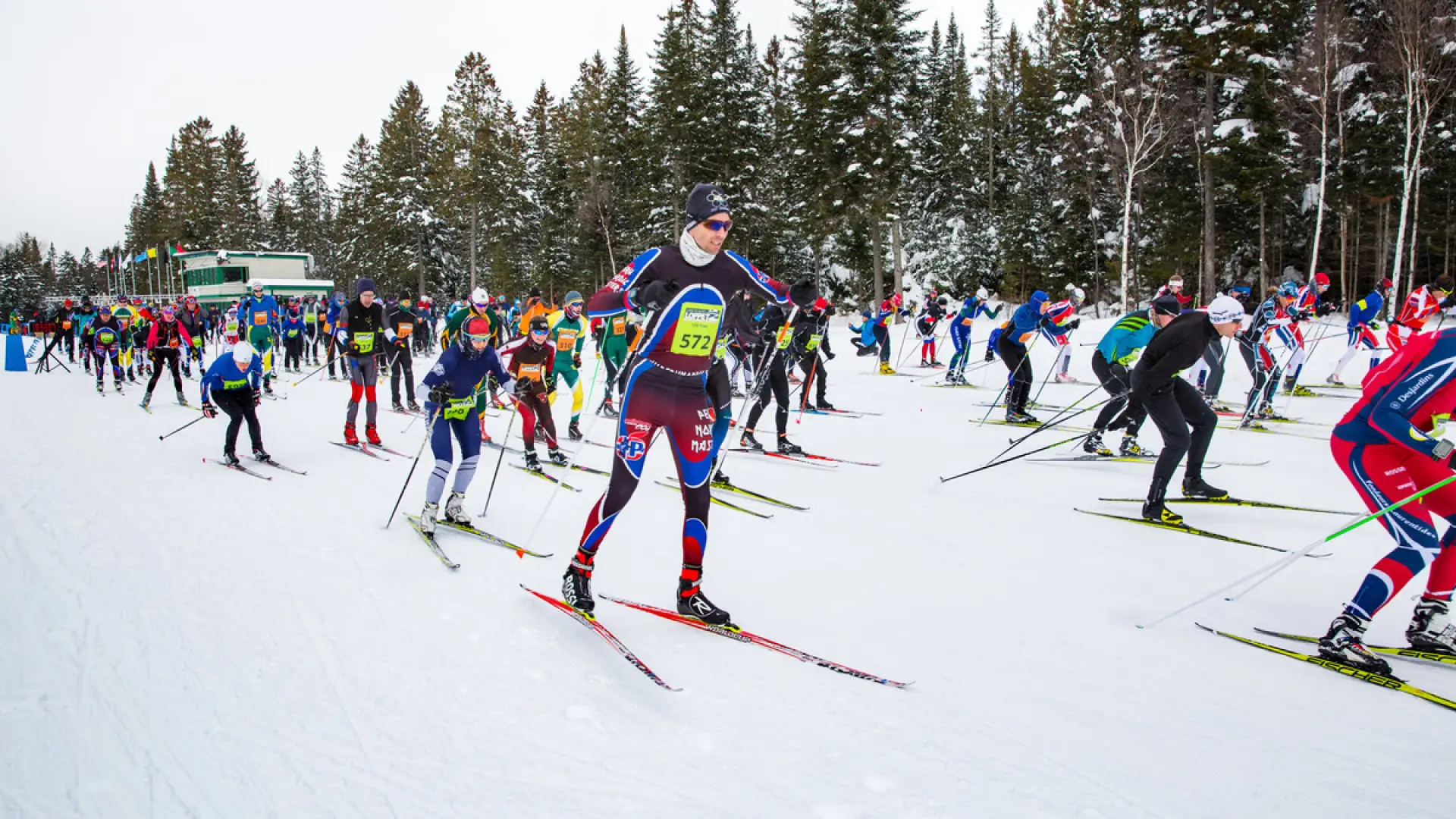 Large group of nordic skiers in race gear begin a race, each wearing a yellow race bib. They are on a wide, snowy path with pine forest in the background