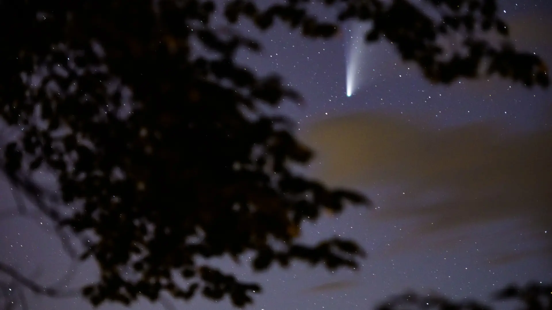 A meteor shower in the Adirondacks.