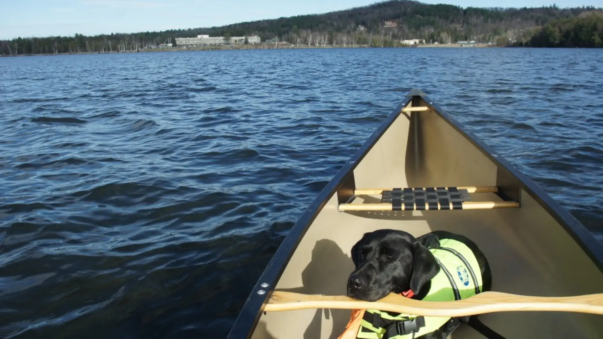 Wren dozes on Lake Colby