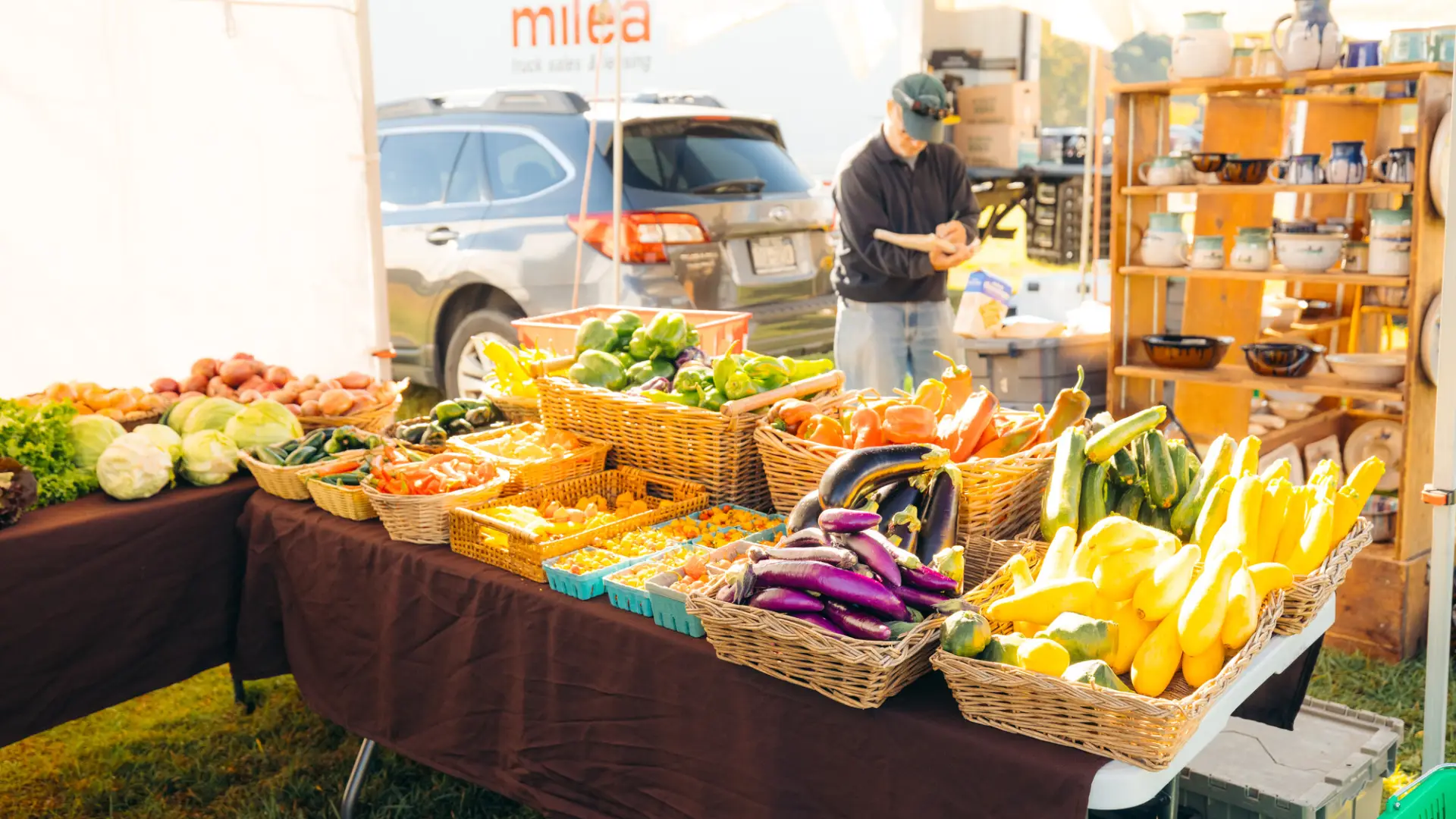 Display of variety of colorful vegetables in baskets on table covered in dark tablecloth under white tent at farmers market