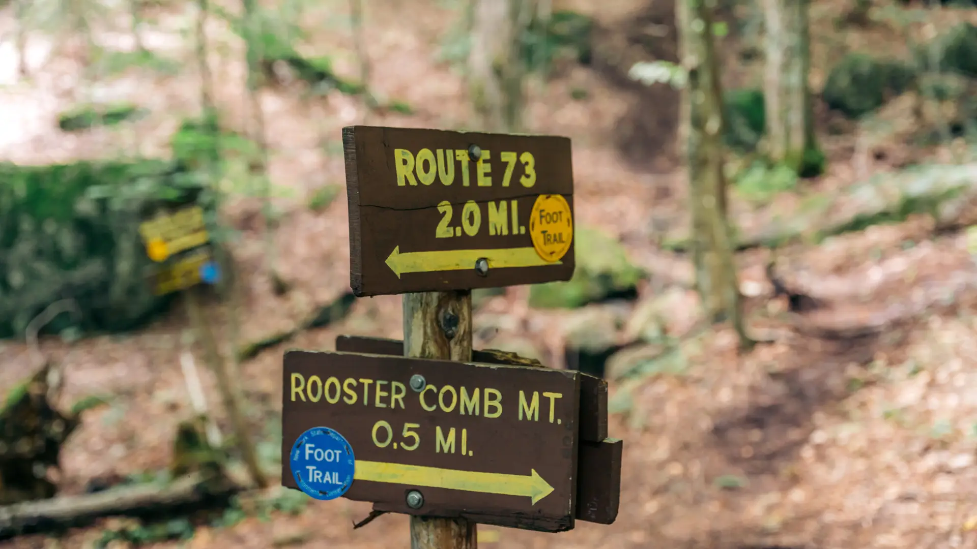 Brown and yellow direction trail signs with trail markers