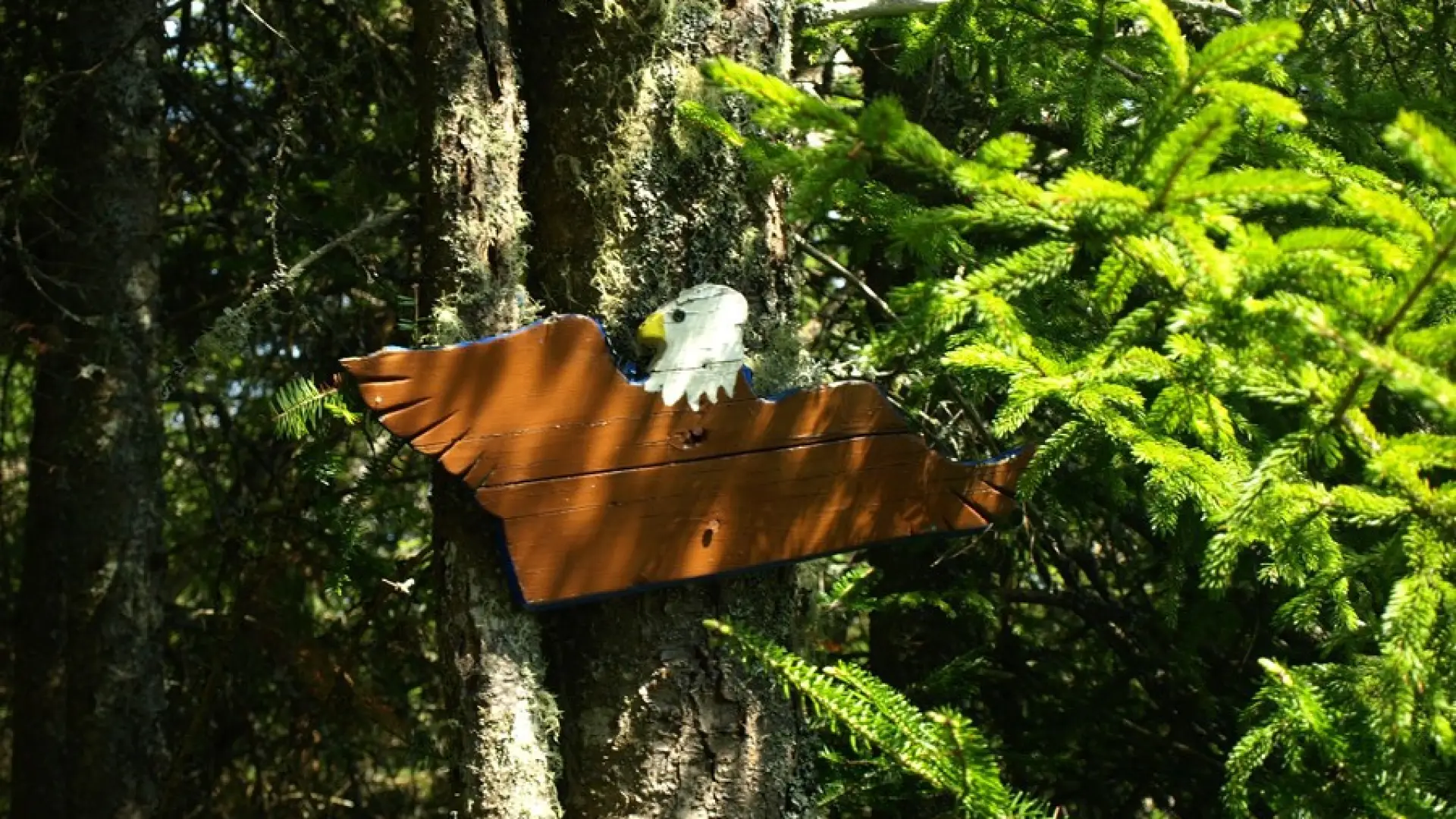 A wooden eagle sign